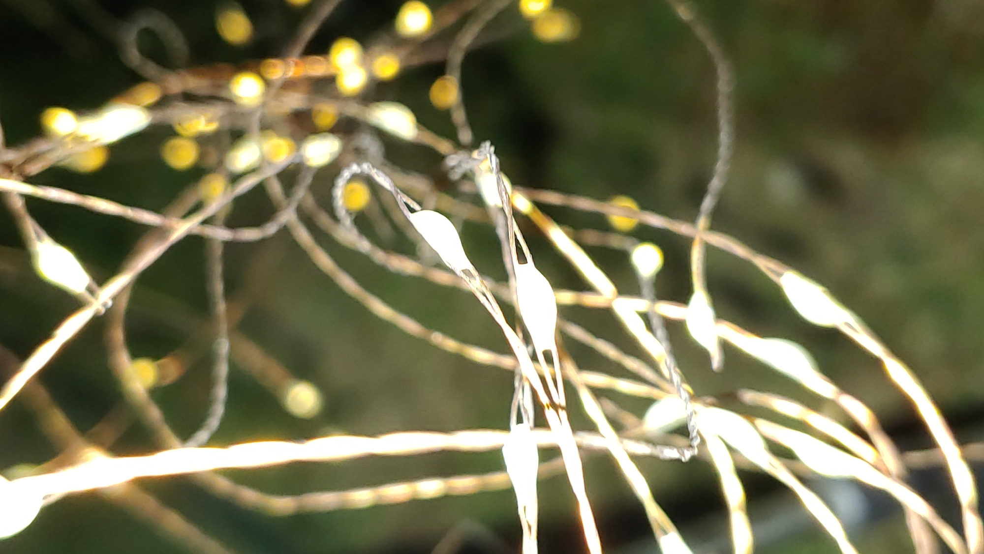 The image displays a close-up, shallow depth of field view of a strand of fairy lights. The lights are small, elongated, and appear to be white or clear, emitting a bright glow. They are attached to thin, brown, wire-like strands that are intertwined, creating a tangled, organic pattern. Some of the lights are in focus, revealing their capsule-like shape, while others are blurred into bokeh circles of yellow and white. The background is a dark, out-of-focus blur of greens and browns, suggesting an outdoor setting at dusk or night. There are no people, animals, or recognizable landmarks present. The image is a purely abstract composition focused on the texture and luminescence of the lights and their supports.