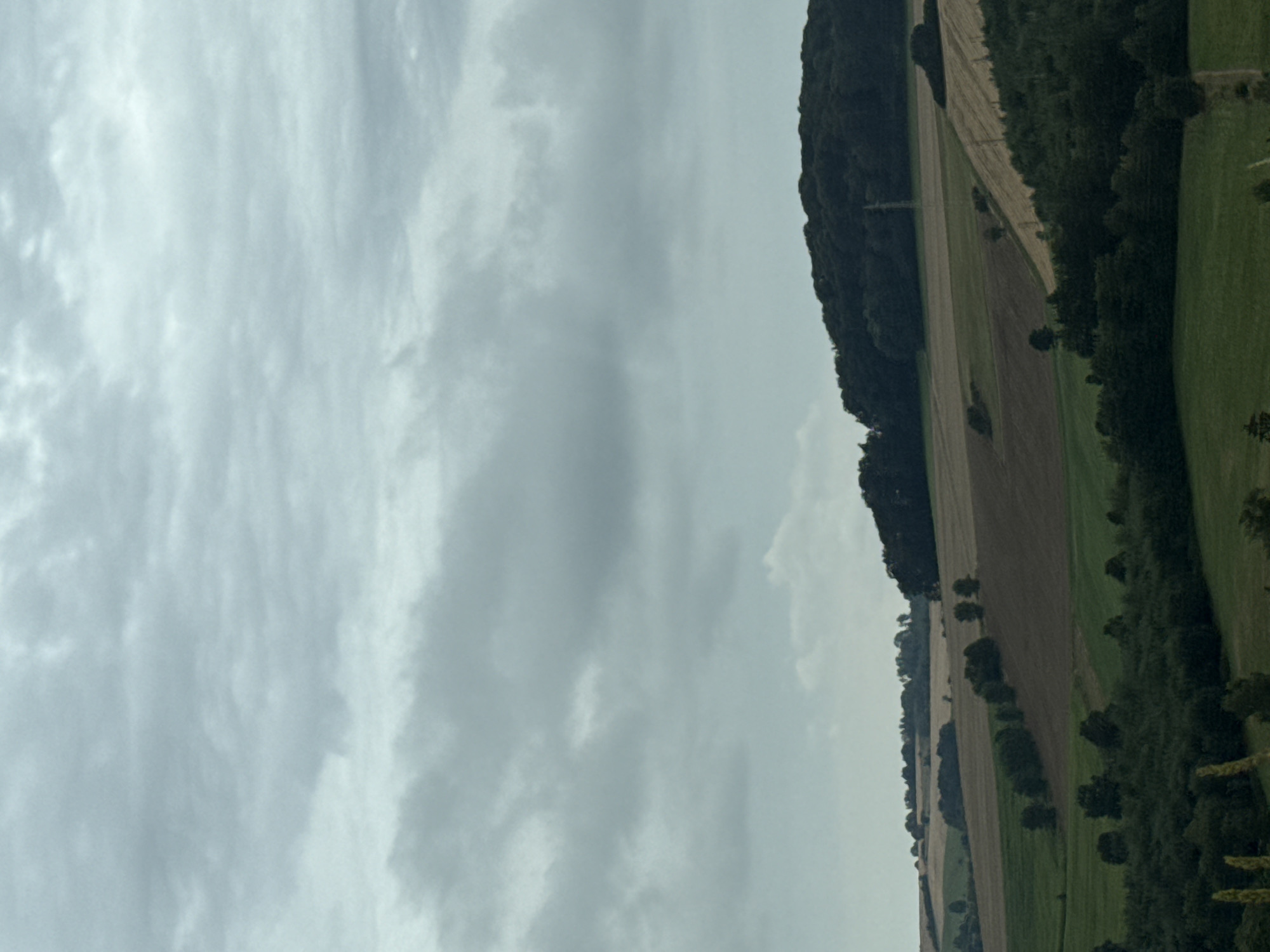 This is a photograph of a hilly landscape on an overcast day, likely in or around Bad Lauterberg im Harz, Germany. The scene is dominated by rolling fields of varying colors, suggesting different crops or stages of growth. In the foreground, a dense, dark green forest covers the lower part of the image. Above this, the landscape opens up to reveal fields of light brown and tan, interspersed with patches of green. Further in the distance, a dark, wooded hill rises, its silhouette softened by the hazy sky. A slender, tall electrical pylon is visible on the slope of this hill. The sky is a uniform, muted gray, filled with clouds, creating a diffused light that casts no strong shadows. There are no people or animals visible in the frame.