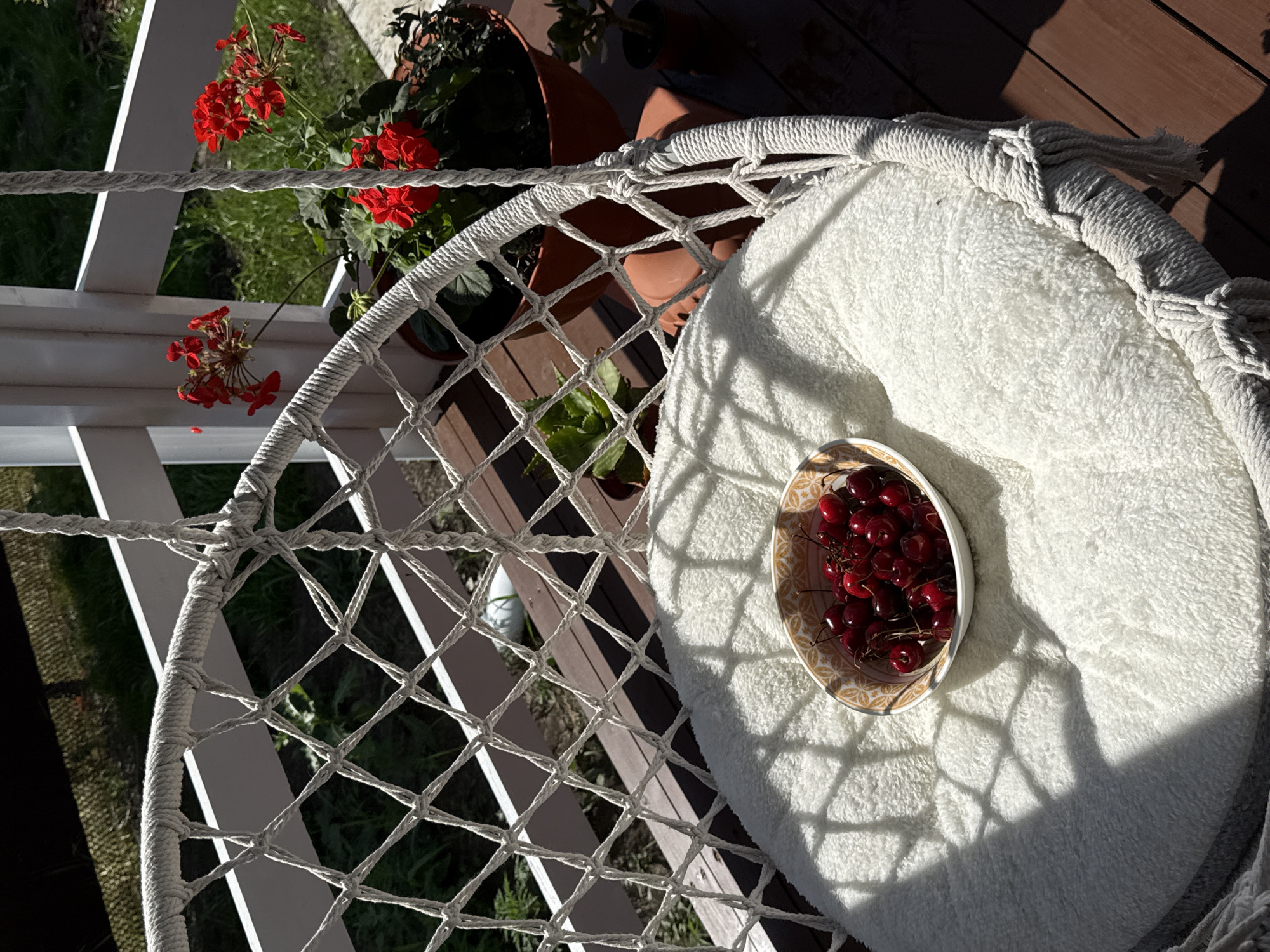 An outdoor scene depicts a white, macrame-style hanging chair with a plush white cushion, set on a wooden deck. A white bowl filled with fresh cherries rests on the cushion. In the background, red geraniums in terracotta pots are visible, along with green foliage and a white railing, suggesting a porch or balcony setting. The sunlight casts distinct shadows across the chair and cushion, indicating a bright day. The scene appears to be located in Starokorsunskaya, Russia, given the context provided. There are no people present in the image.