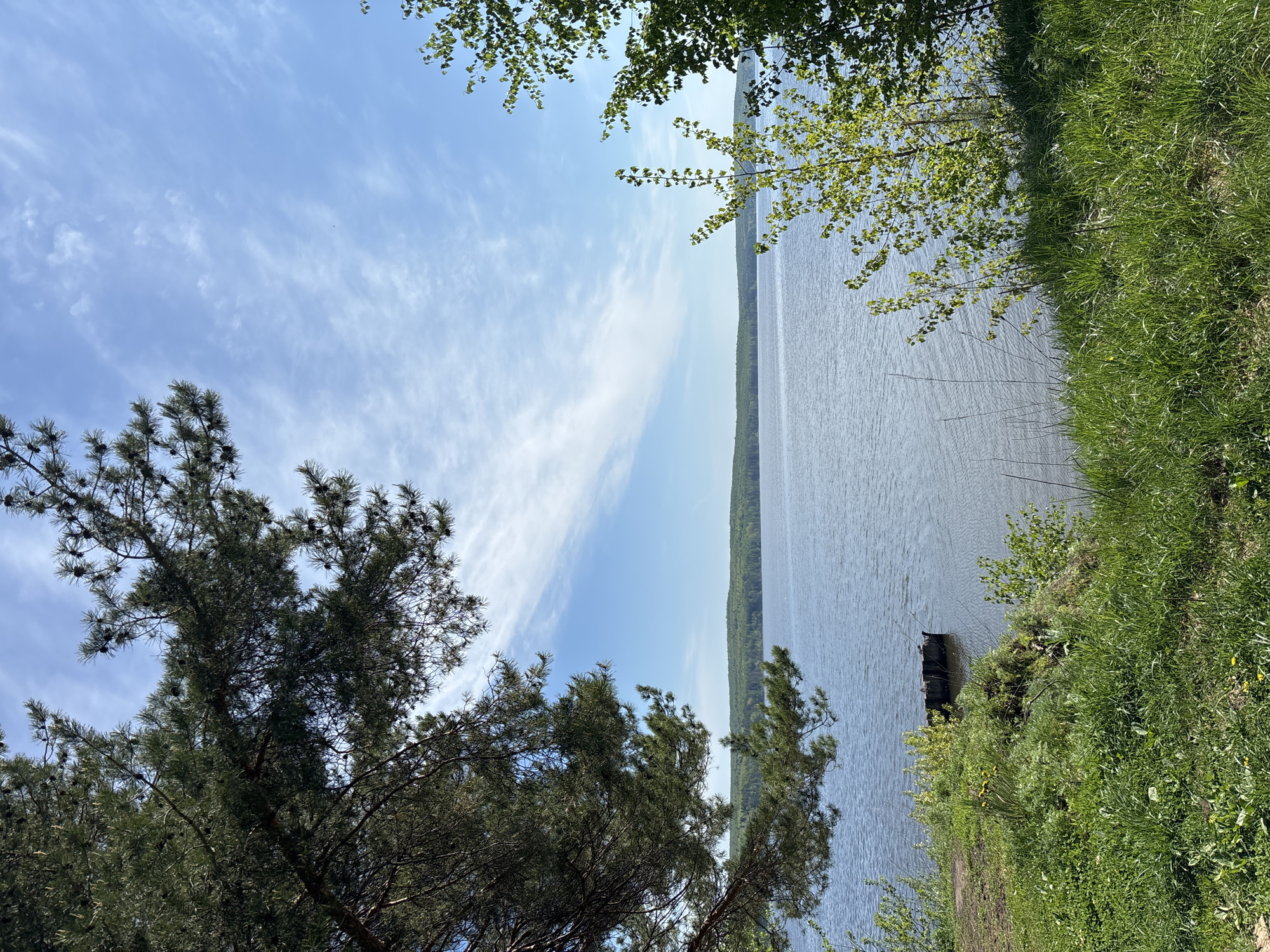 The image presents a landscape view of the Kama Reservoir, a body of water located in the city of Chaikovsky, Perm Krai, Russia. The perspective is from the shoreline, with the water extending towards the horizon. The sky is partially cloudy with a visible blue expanse. Along the shoreline, there is a mix of vegetation consisting of grass and trees. A structure, possibly a small dock or pier, is visible in the water near the edge of the shoreline. The vegetation on the shoreline is primarily green, typical of a temperate climate during a growing season. The image appears to be taken during daylight hours, with adequate lighting.