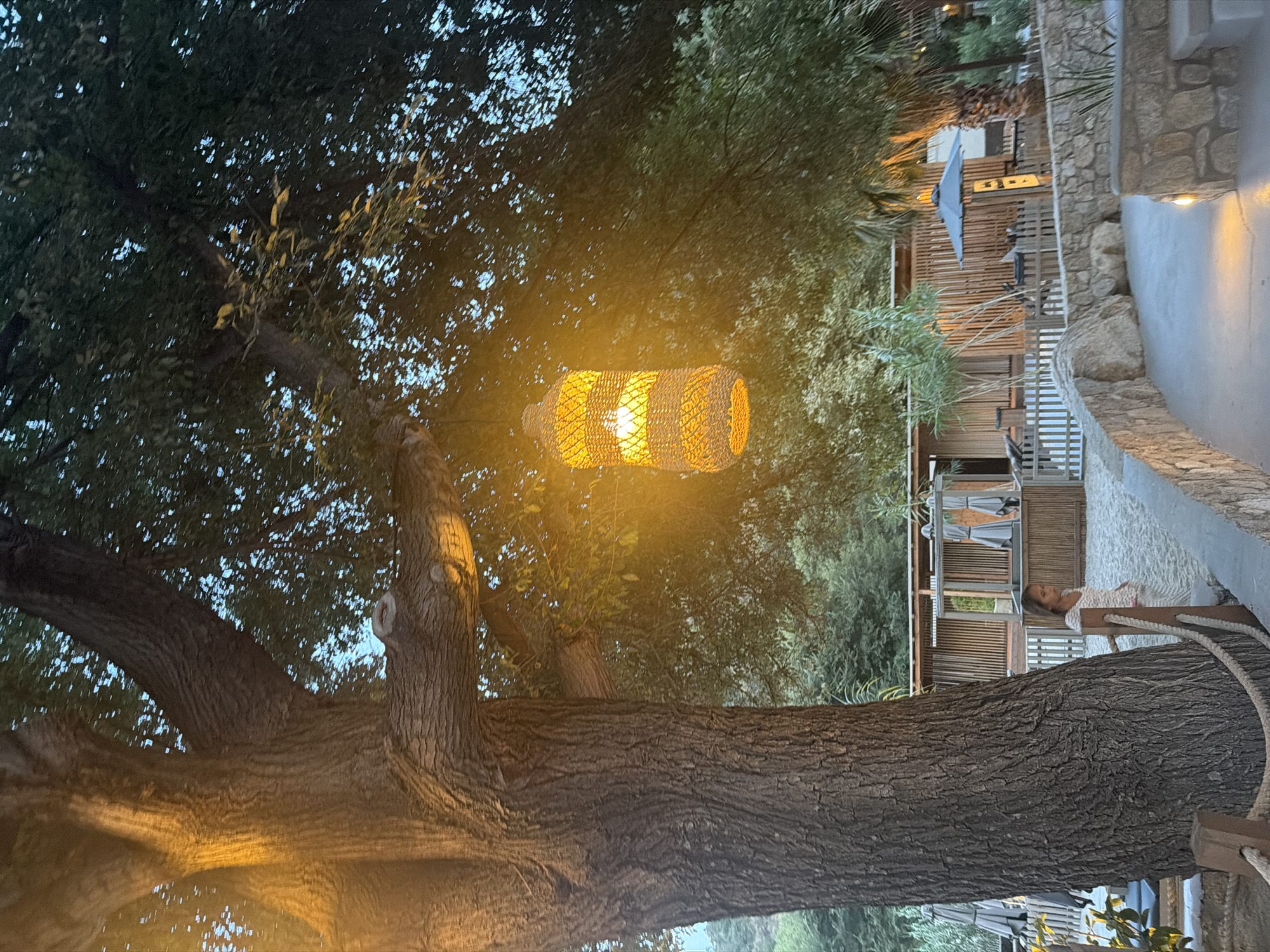 In the Sithonia Municipal Unit, Greece, a tree with a thick, textured trunk dominates the left foreground of this image. A woven, lantern-like light fixture hangs from one of its branches, casting a warm yellow glow. The tree is surrounded by dense green foliage. In the background, a sandy area is visible, with several beach chairs and umbrellas set up. A low stone wall borders a paved pathway in the foreground. A young girl, wearing a white patterned garment, stands near the tree on the sand, looking to her right. Further back, wooden structures with thatched roofs suggest a beachside establishment. The overall atmosphere is serene and summery.