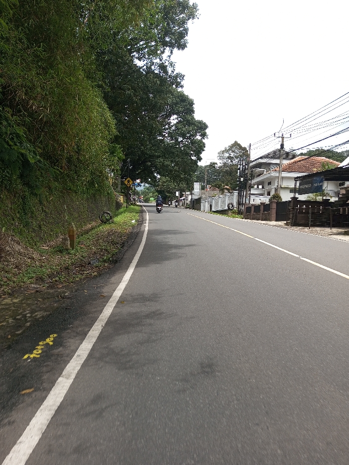 The scene captures a section of an asphalt road in Serpang Shalli, Bhutan, under an overcast sky. The road features a solid white line defining its left edge and a dashed white line further right. On the left, a steep, heavily vegetated embankment covered in dense green foliage, including bamboo, parallels the road. A wooden marker post and a black tire rim are located on the dirt shoulder between the road and the embankment. A yellow diamond-shaped pedestrian crossing sign is mounted on a pole along the left shoulder. In the mid-distance, two individuals are seen operating motorcycles, traveling away from the camera. The right side of the road is lined with a paved shoulder, white fences, and several multi-story buildings with white exteriors and reddish-brown tiled roofs. One building prominently displays a 'PASSWED PNB Bank' banner. Multiple utility poles with numerous overhead power lines are visible along this side. Yellow painted markings are present on the asphalt near the bottom-left.