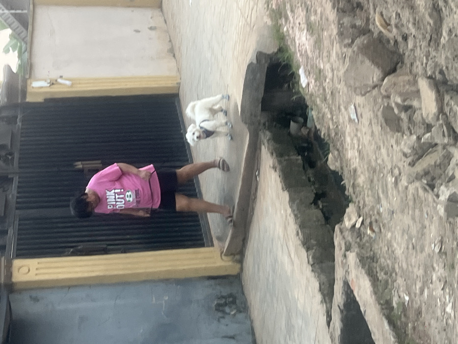 The image depicts an outdoor daytime scene in Egan, Nigeria, showing a person walking a white dog on a paved pathway. The person, an adult with dark hair, is wearing a bright pink t-shirt with "PINK OUT!" and other smaller, illegible text printed on it, along with black shorts and sandals. They are holding a leash connected to the white, fluffy dog, which is wearing a dark harness and stands a short distance ahead of them on the path.
To the left of the person and dog, there is a dark, corrugated metal gate or wall, possibly belonging to a building, with a distinct yellow trim along its base. To the right of the paved pathway, a concrete drainage ditch or open culvert runs parallel, filled with some debris. Beyond the ditch, the ground is rough, composed of dirt and scattered rocks. The lighting is diffused, suggesting an overcast day or indirect sunlight, with no harsh shadows visible. The overall scene reflects a common street or residential area environment in the region.