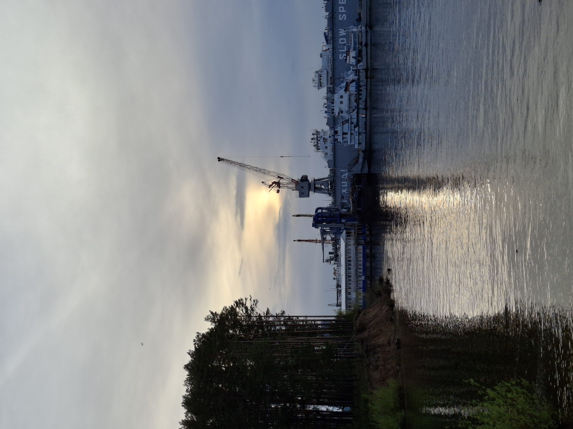 This image depicts a scene in Chaikovsky, Russia, featuring an industrial waterfront setting at sunset. In the background, a large cargo ship labeled "SLOW SPEED" is docked. Closer to the shore, a series of cranes are visible, silhouetted against the setting sun. The water reflects the sunlight, creating a bright glare. The foreground consists of a forested area with tall trees and a grassy embankment.