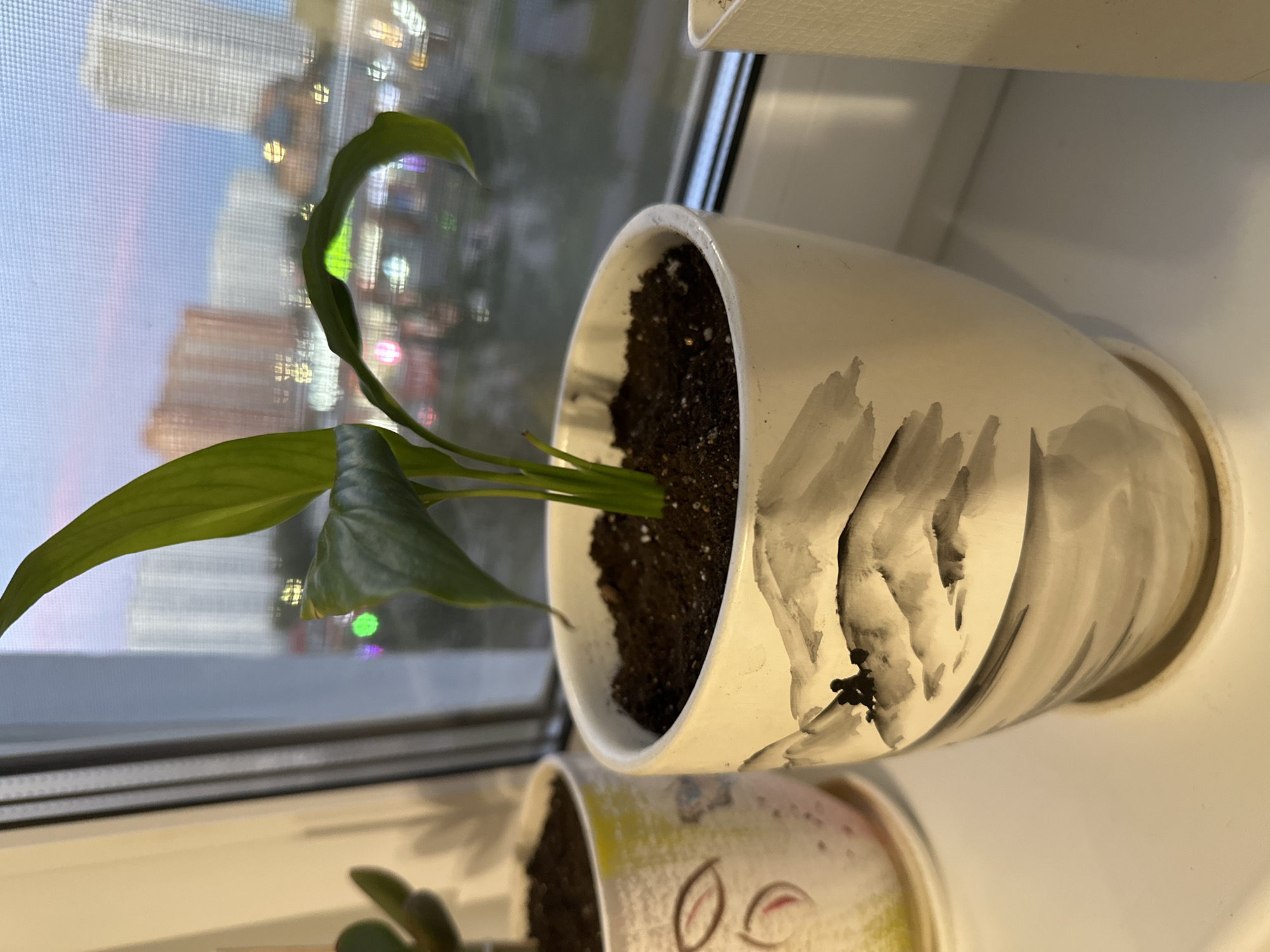 The image shows a potted plant with green leaves on a windowsill. The pot is white with black ink drawings of mountains and figures. In the background, through the window, city buildings and lights are visible. The sky is dusky. The scene is indoors, likely an apartment, with the urban environment of Podolsk, Russia, visible outside. There are no people or animals present.