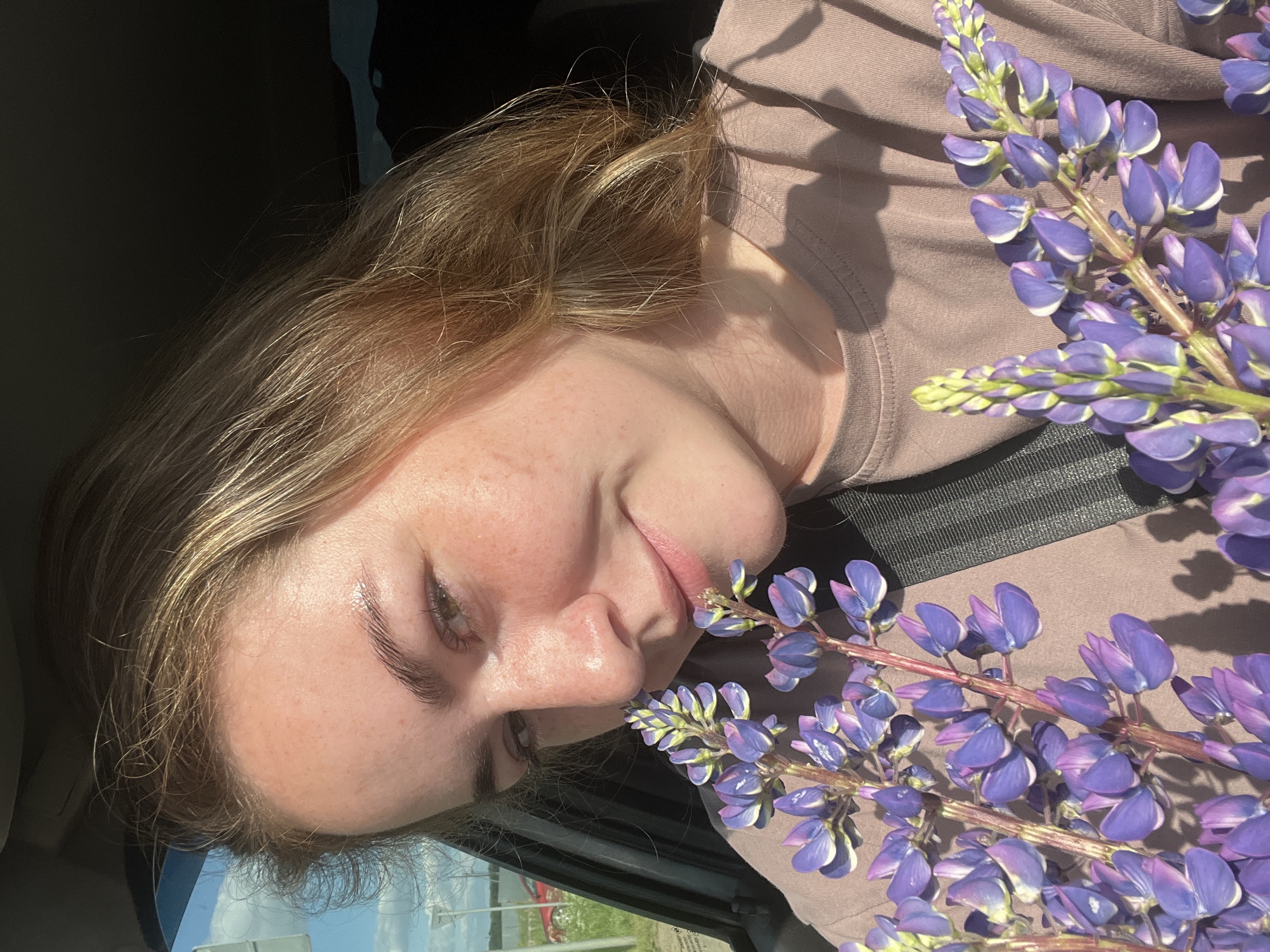 A young adult female, approximately 20-30 years old, with light skin, visible freckles across her nose and cheeks, and light brown to blonde hair, is depicted in the driver's seat of a vehicle in Гаревая, Russia. Her hair is slightly disheveled, and her groomed eyebrows appear somewhat reflective. She has greenish-brown eyes and a subtle smile, looking directly towards the viewer. She is wearing a plain, light brown short-sleeved t-shirt and has a black seatbelt diagonally across her chest. She holds a small bouquet of fresh purple lupine flowers, bringing them close to her face near her nose and mouth. The flowers exhibit vibrant purple petals with some lighter green/yellow tips.
The scene is brightly illuminated by direct sunlight, casting distinct shadows on her shirt and the dark car interior. Through the open car window on the left, an outdoor environment is visible, featuring an asphalt road, green grass, a tall light-colored utility pole, a partially visible red vehicle in the distance, and a blue sky with scattered clouds. The right side of the image is largely dark, indicative of the car's shadowed interior.