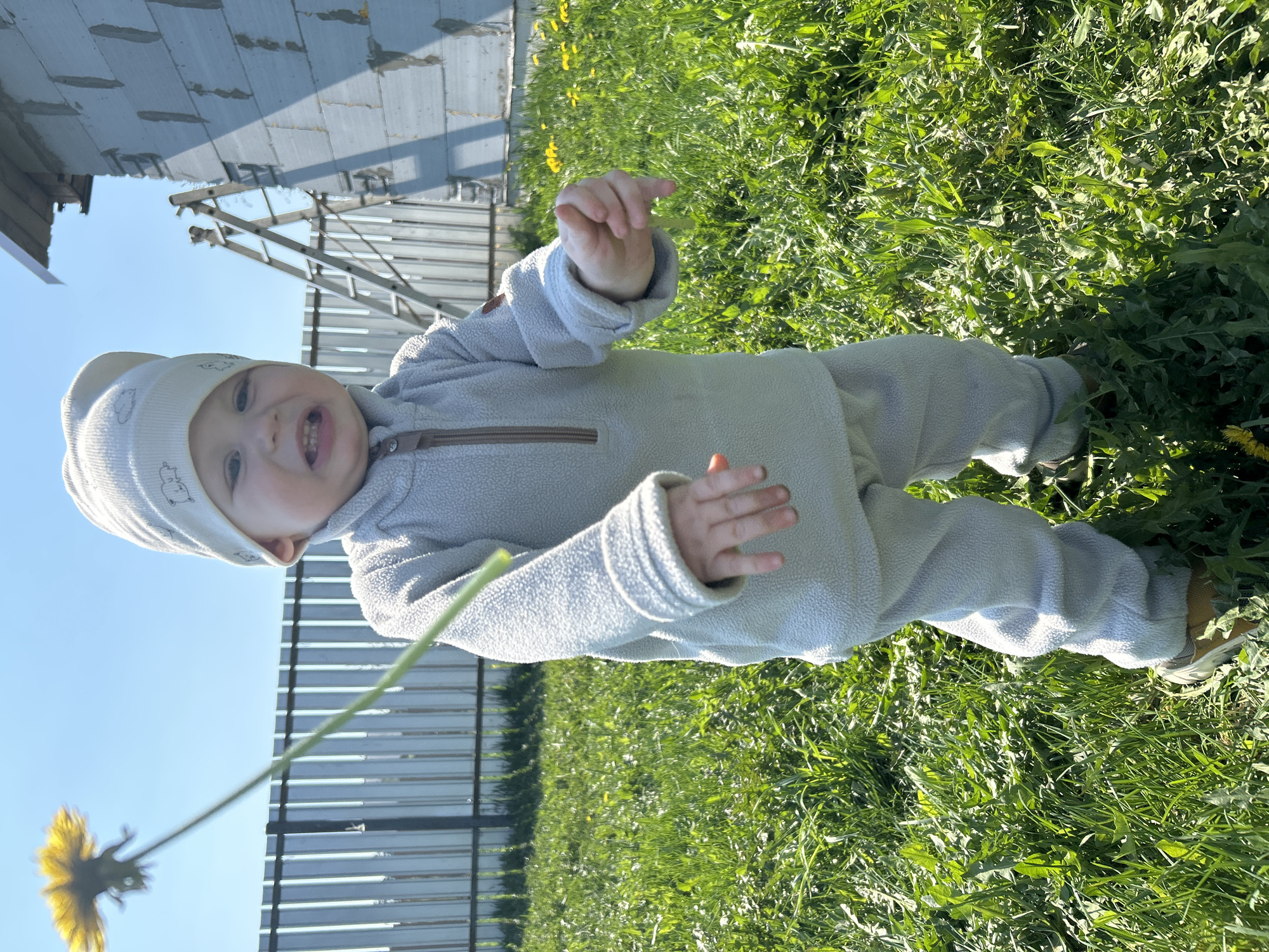 A young child in a light grey fleece onesie and a matching hat is standing in a grassy area on a sunny day. The child is fair-skinned with light-colored hair, and is looking at the camera with a smile, showing some teeth. They are holding out their hands, seemingly interacting with a dandelion flower that is visible to the left side of the frame. The setting appears to be outdoors, with a wooden fence and some construction or unfinished building in the background. The grass is green, and there are other dandelions scattered about. The location is in the city of Chaikovsky, Russia.