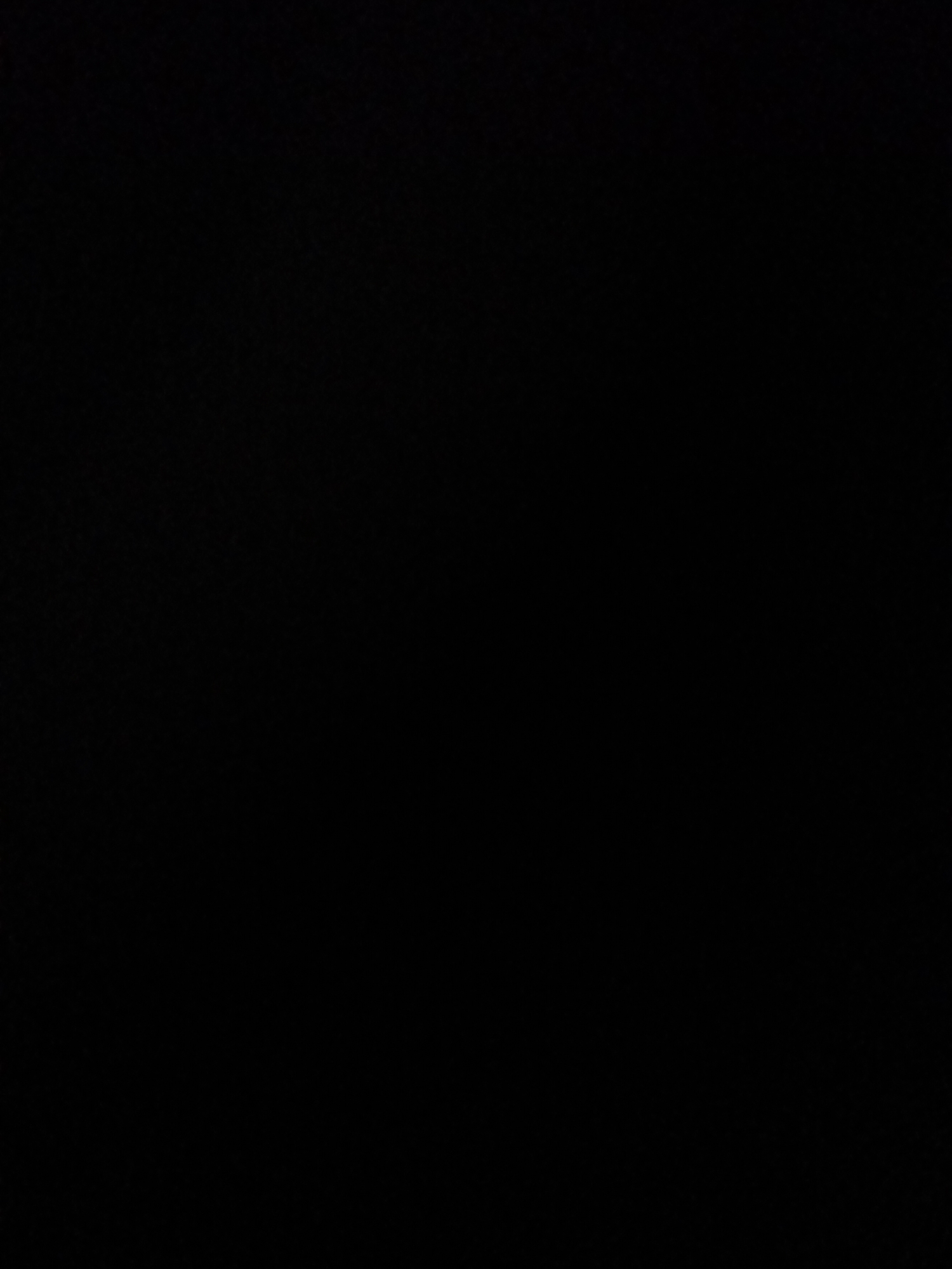 This is a black image, indicating that no visual information is present or discernible within the file. Therefore, it is impossible to describe any subjects, activities, notable details, or visible text. The image lacks any content that would allow for an interpretation of a scene, setting, or event.