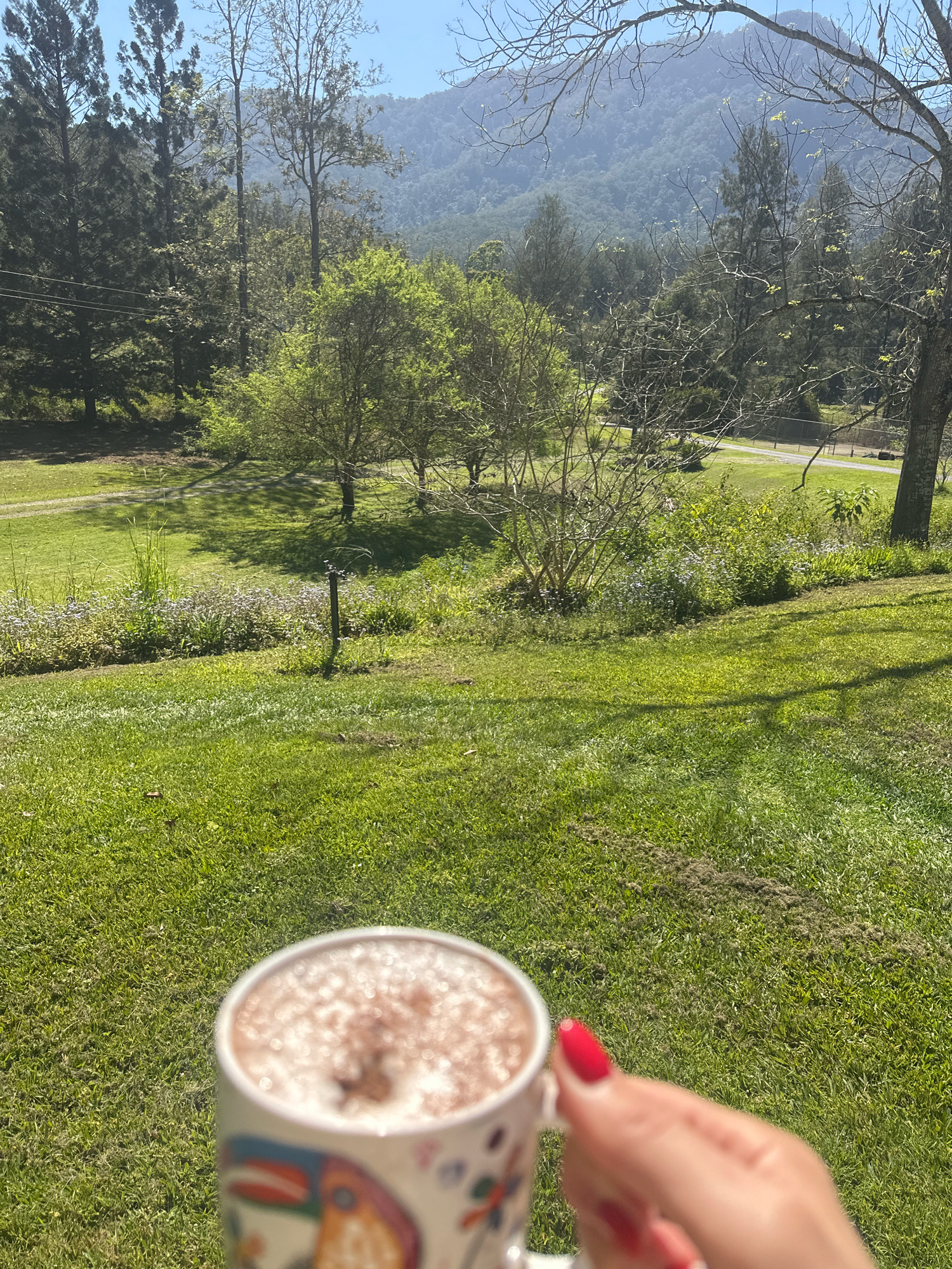 The image depicts a mug of hot chocolate with a white foam topping, held by a person's hand with red nail polish. The mug has a colorful pattern with what appears to be a toucan. The background is a lush green grassy hill, leading up to trees and a mountain range in the distance. The scene is set outdoors on a sunny day. Based on the context of Thora, Australia, this likely represents a tranquil moment in a rural or semi-rural setting within the Thora area, characterized by its natural landscape.