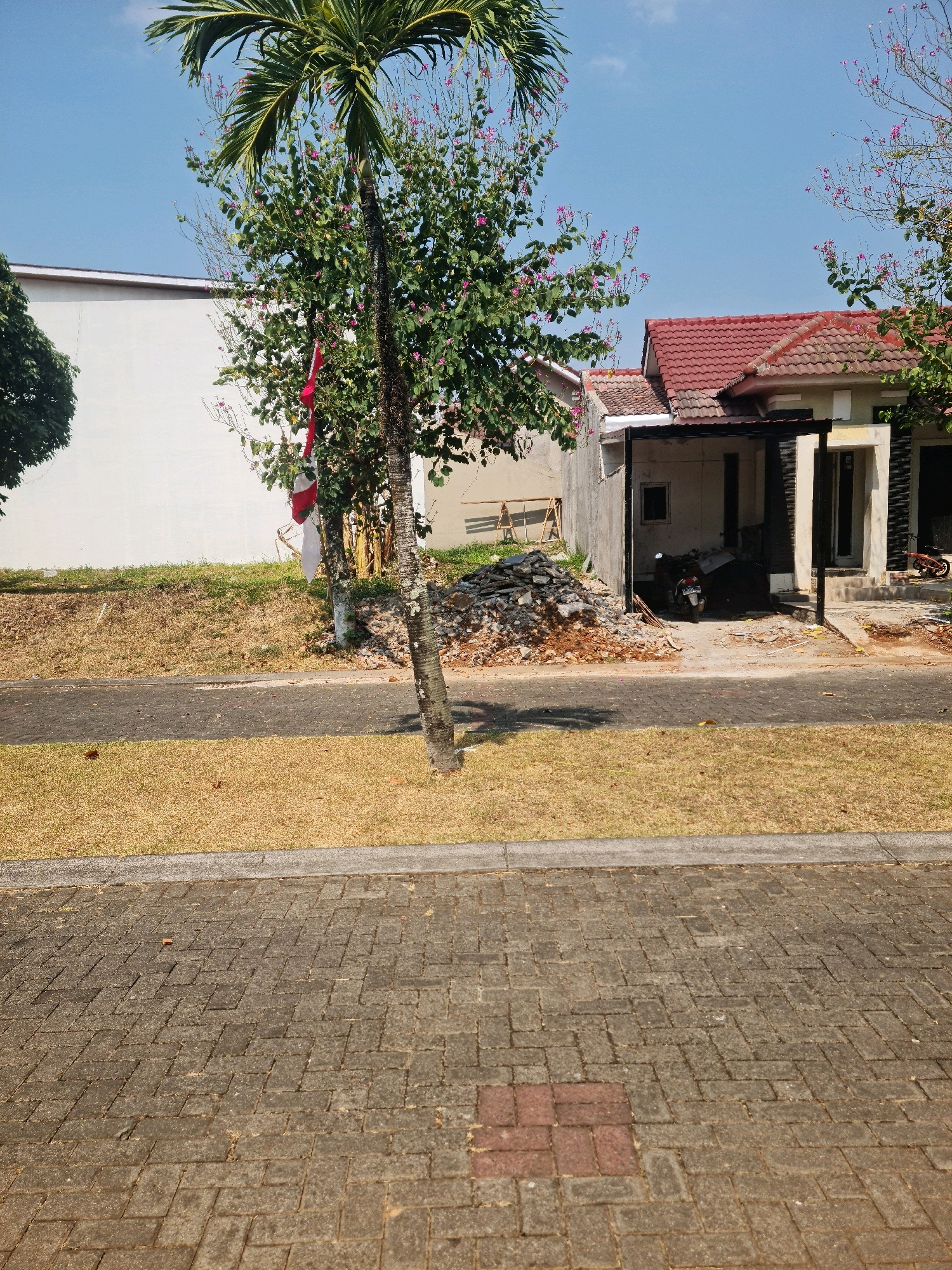 The image depicts a residential area under construction or renovation in Semarang, Indonesia. In the foreground, a patterned brick sidewalk is visible. Beyond the sidewalk, a strip of dry, yellowed grass separates it from a paved road. Further back, a palm tree with pink flowers stands prominently, adorned with a red and white Indonesian flag. To the right of the palm tree is a house with a red tiled roof and a dark-colored awning. The house appears to be undergoing construction or has debris piled in front of it, including a pile of rubble and a motorcycle parked in the driveway. Another house with a white wall is visible to the left, partially obscured by trees. The sky is clear and blue.