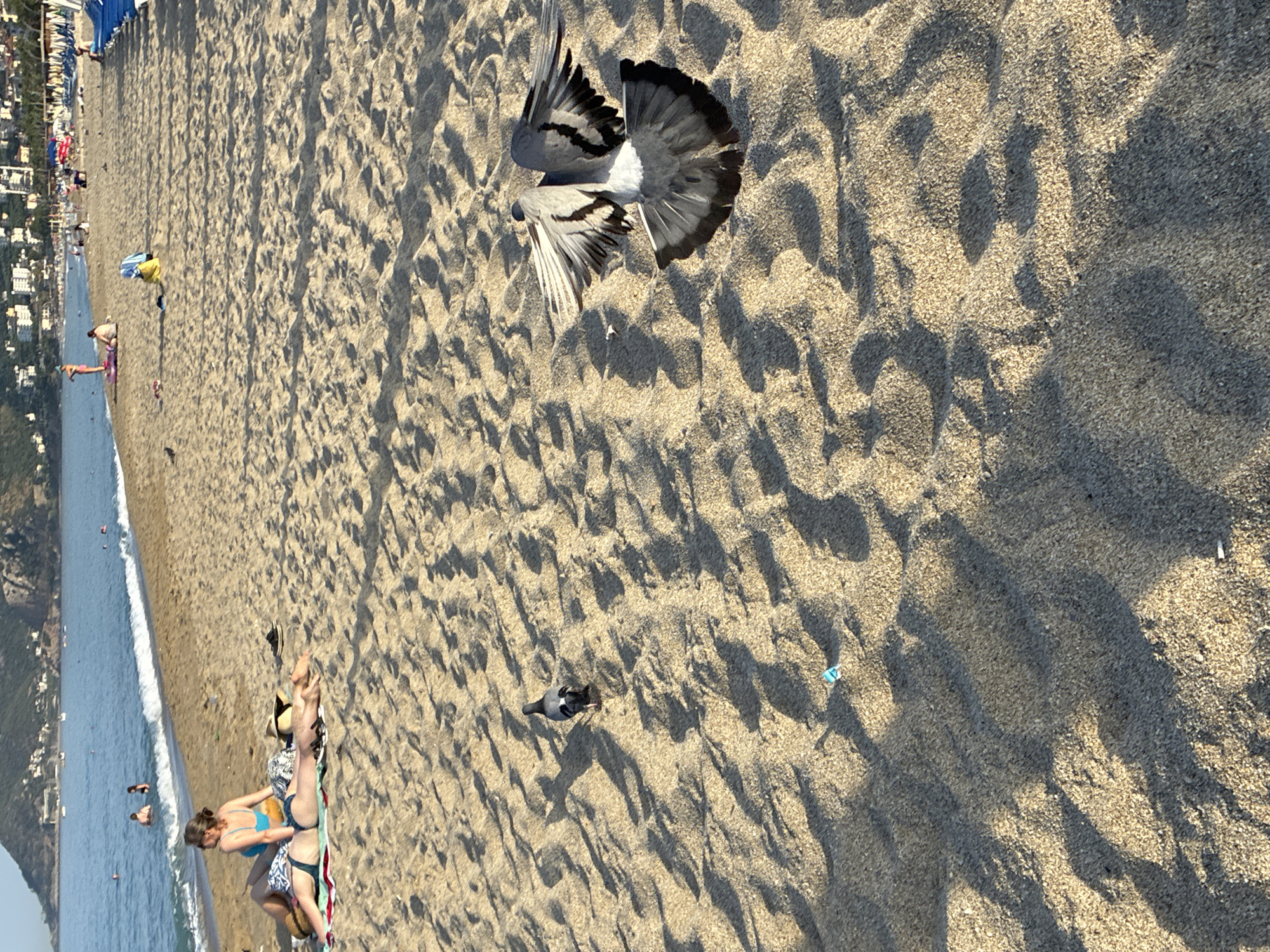 This is a photograph taken at the beach in Alanya, Turkey, focusing on the sandy shore and the sea in the background. In the foreground, two pigeons are present on the sand. One is standing and looking away from the camera, while the other is in mid-flight with its wings spread. The sand is textured with ripples and shadows from the late afternoon sun.
Further back, several people are sunbathing on towels and lying on the beach. One woman in a blue bikini is sitting up, while another person in a patterned swimsuit is lying down next to her. A few other individuals are visible in the distance, as well as beach chairs and umbrellas. The sea is a calm blue, with a white wave breaking near the shore. In the far background, buildings and hills are visible, characteristic of the Alanya coastline. The overall scene depicts a typical day at a beach resort.