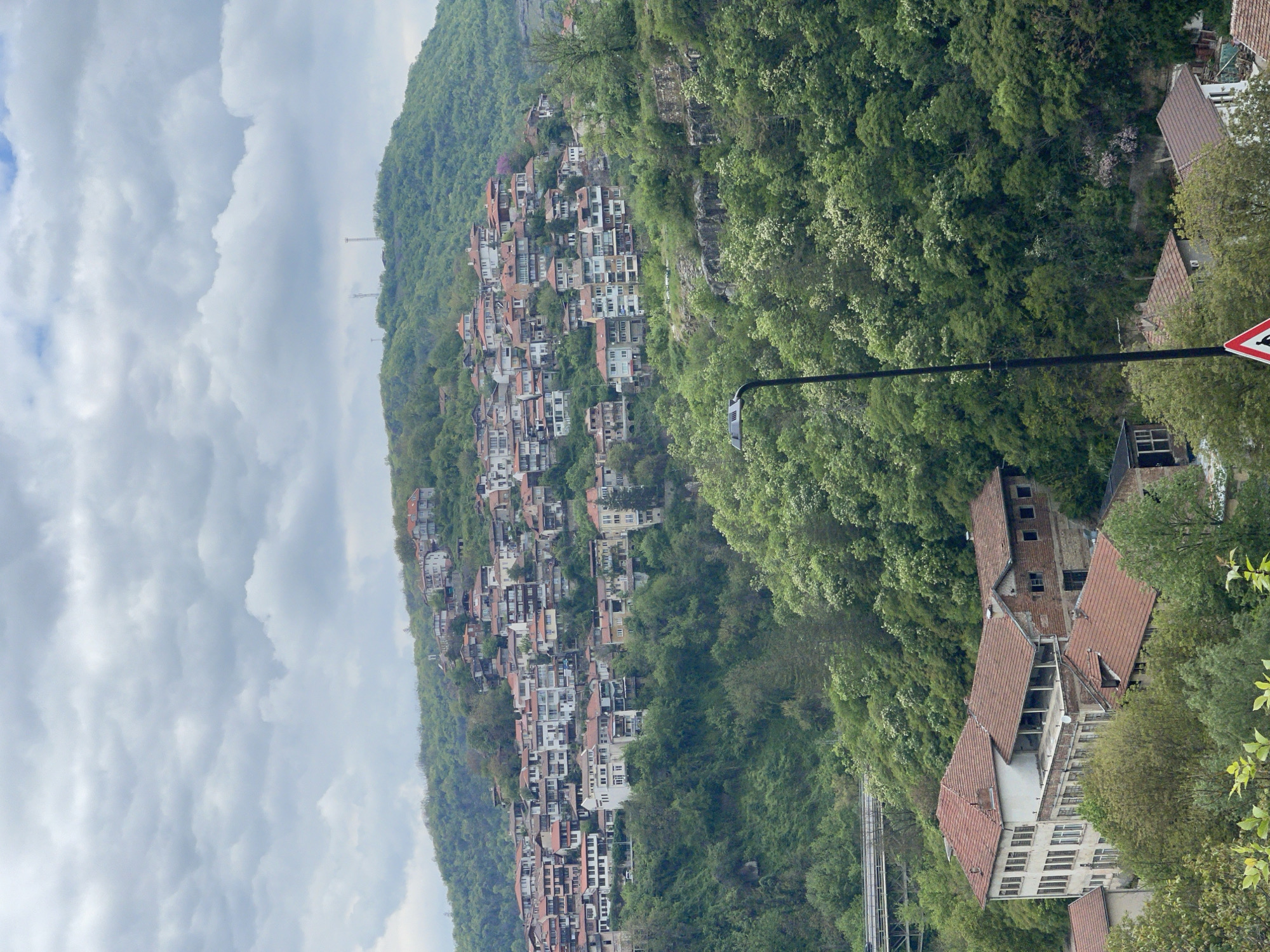 The image depicts a hillside in the city of Veliko Tarnovo, Bulgaria, covered in dense green trees and interspersed with numerous buildings. The buildings are clustered together, creating a village-like atmosphere on the slope. The structures are a mix of residential and commercial, with red-tiled roofs being a prominent feature. A street light can be observed alongside a road sign. The sky is overcast, with thick clouds obscuring the sun.