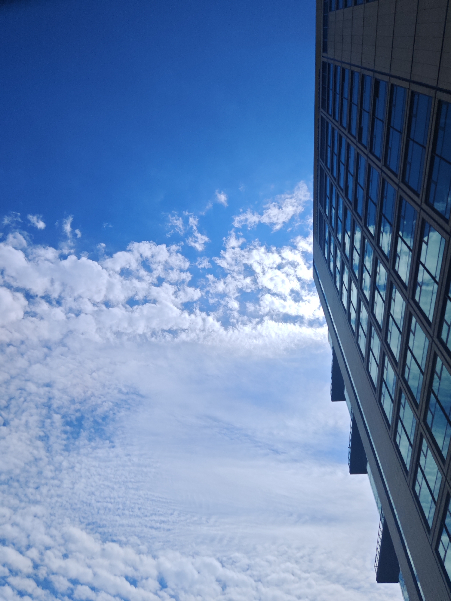 The image presents a modern high-rise building against a bright blue sky filled with white clouds. The building occupies the right side of the frame, extending vertically but appearing slightly tilted relative to the image edges, suggesting a dynamic, low-angle perspective. Its facade is characterized by a grid of numerous rectangular windows, many of which reflect the blue sky and scattered cloud formations. The building material appears to be a light gray concrete or stone, contrasting with dark window frames.
The sky on the left side of the frame and in the reflections on the building ranges from a deep, intense blue at the top to lighter shades. Various types of clouds are visible: some are fluffy cumulus clouds in the mid-sky, while others closer to the bottom are more dispersed and wispier, potentially altocumulus or cirrocumulus. The overall impression is of a clear, sunny day.
No people or discernible activities are taking place in the scene, which focuses on architectural form and the natural sky. There are no visible location cues, making the setting generic urban or modern. No text is visible in the image.