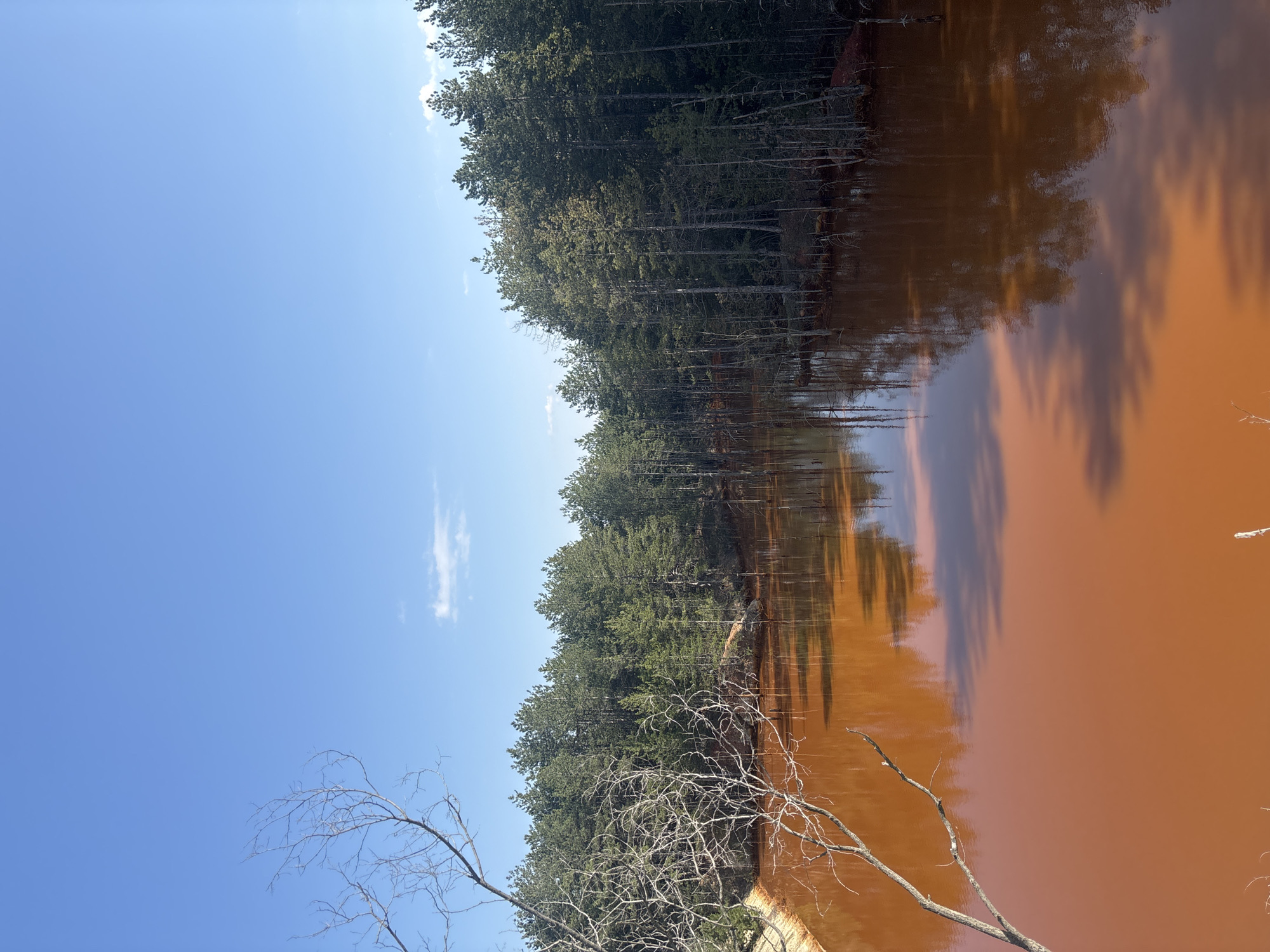 The image shows a body of water with an orange-brown color, likely due to mineral contamination, possibly from mining activities. This body of water is located near a forest, whose trees reflect on the surface. Some dead branches overhang the water, and the sky is a clear blue. This could be in the Elshitsa area of Bulgaria due to historical copper mining in the region.