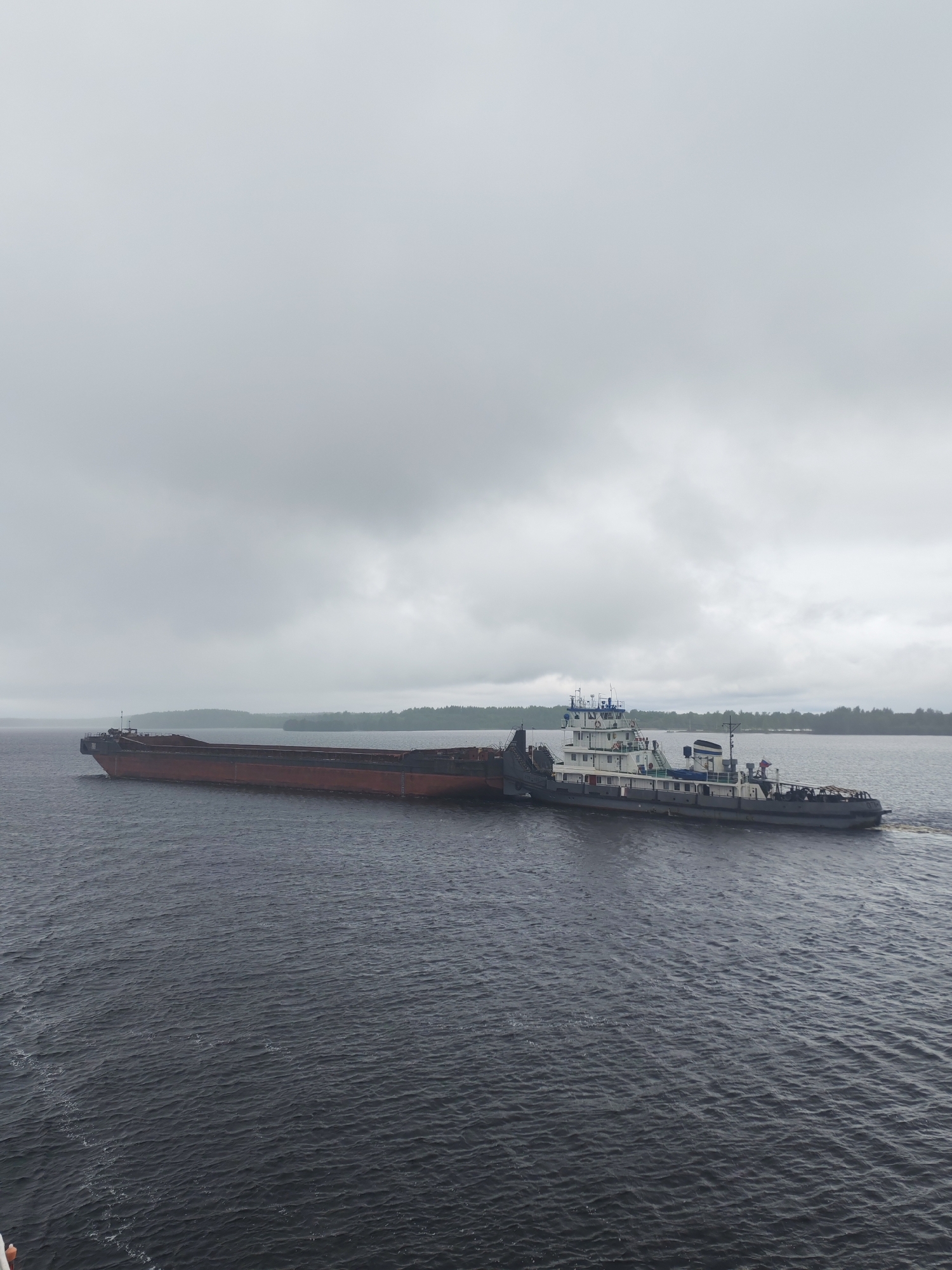 A tugboat is pushing a barge in a large body of water under a cloudy sky. The scene appears to be near a shoreline with trees in the background. I cannot confirm the location is Bessolovo, Russia from this image.