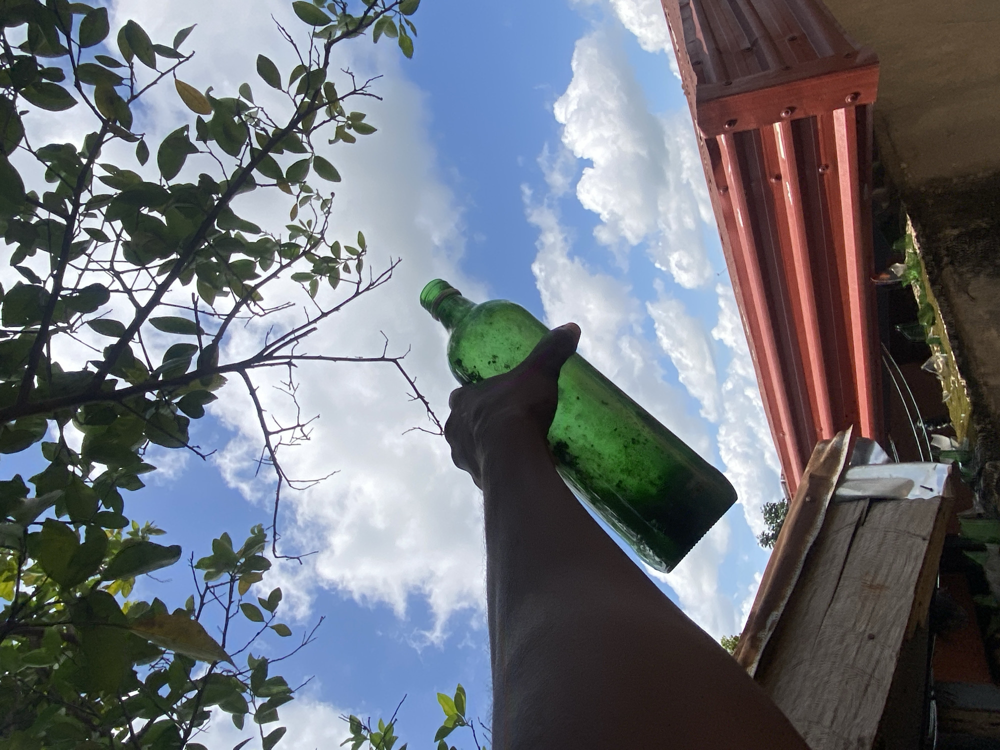 A low-angle shot shows an arm holding a green glass bottle against a partly cloudy sky, framed by tree branches on the left and a section of red corrugated metal roofing on the right. The arm is dark-skinned and the bottle appears old. The setting is outdoors, and the location can be inferred to be in Ogbu, Nigeria, based on the prompt. The time is during daylight.