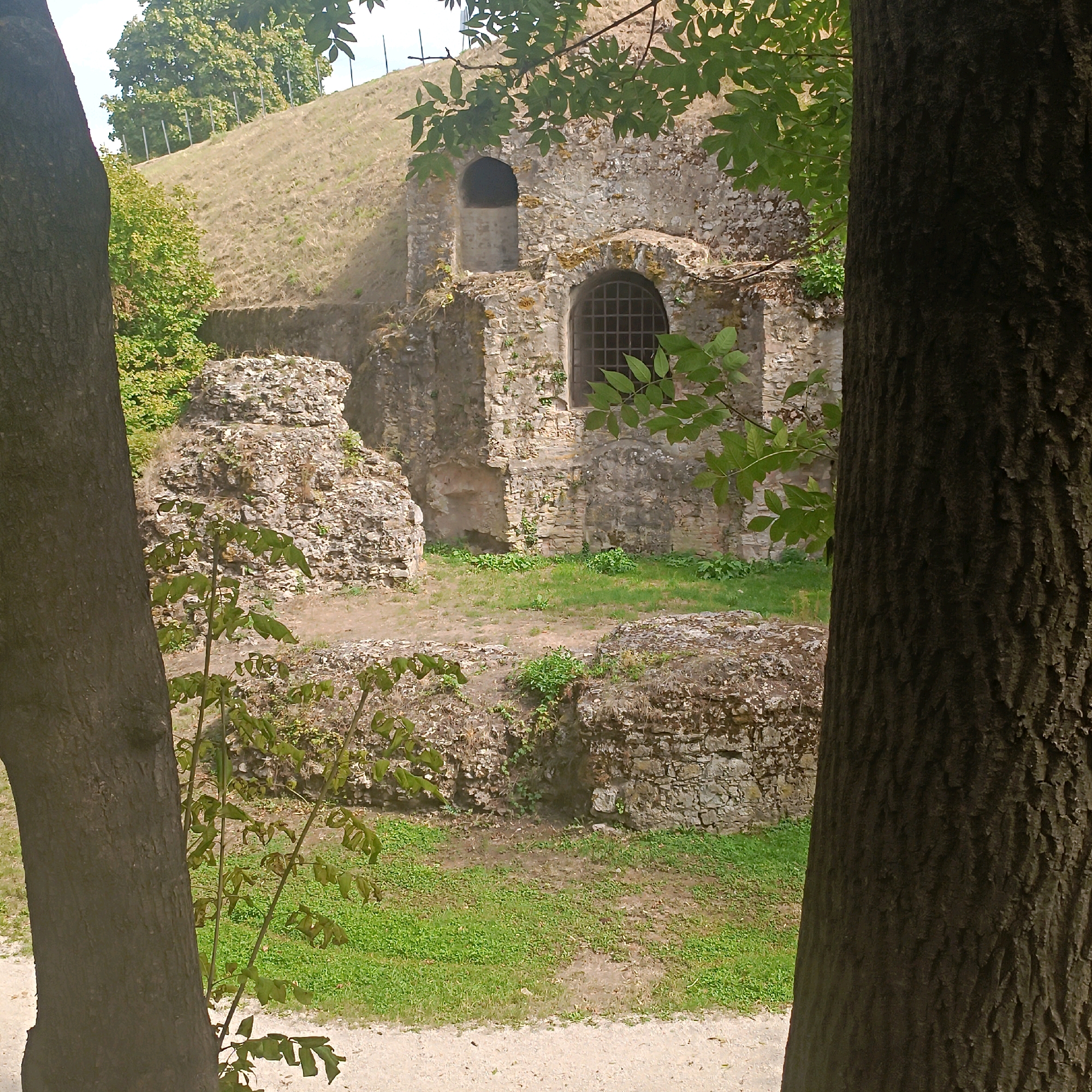 In Rüsselsheim am Main, Germany, an outdoor scene depicts the ruins of an ancient stone structure. The structure appears to be made of rough-hewn stones and exhibits evidence of decay, with sections of wall and scattered rubble. Two arched openings are visible in the main wall; one is a dark, empty recess, while the other has a metal grate. The surrounding area is covered with green grass and dirt paths. In the foreground, two large tree trunks frame the view. Lush green foliage from trees and smaller plants is present throughout the scene, with some leaves extending into the frame. In the background, a grassy hillside with a fence runs along the top. The sky is overcast and appears light.