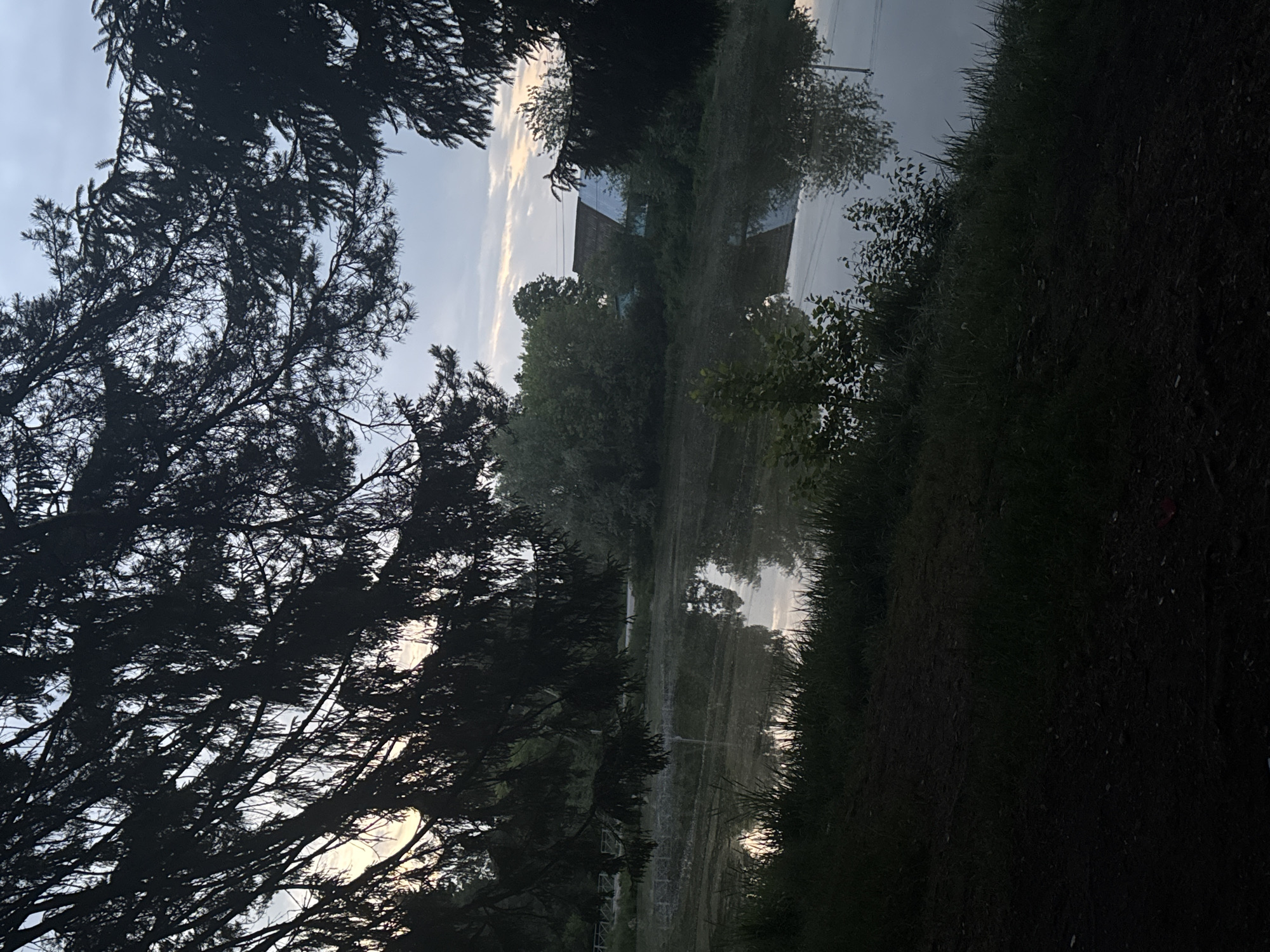 The image shows a landscape with a large tree on the left, its branches silhouetted against the sky. To the right, there is a field or open area with sparse vegetation and what appears to be a building or structure in the distance, partially obscured by trees and possibly fog or haze. The right side of the image is darker with grass and vegetation. It is dusk or dawn, with a low light level. The location is Chaikovsky, Russia, as indicated.
