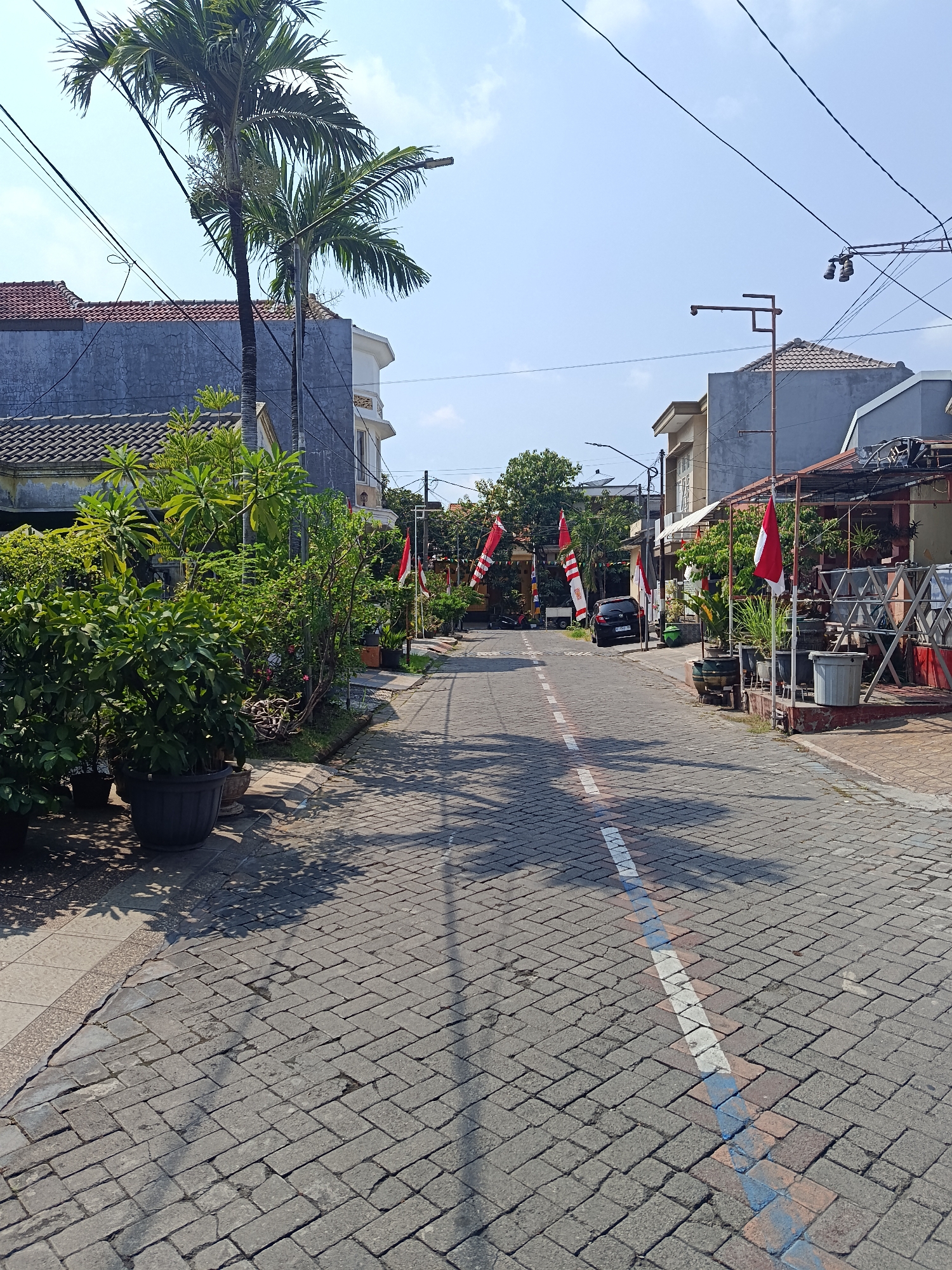 The image depicts a sun-drenched, narrow street lined with houses and lush greenery in Keboananom, Indonesia. The street is paved with grey interlocking pavers and features a white and blue painted line marking the center. Several Indonesian flags, red and white, are displayed on poles along the street, suggesting a national celebration or event.
On the left side of the street, a tall palm tree stands prominently in front of a gray house with a terracotta-tiled roof. A dense collection of potted plants, including leafy bushes and smaller trees, occupies the foreground and extends along the side of the street. The plants are in various dark-colored pots.
On the right side of the street, more houses are visible, also with tiled roofs. This side of the street is also decorated with flags. Some of the houses have awnings or small structures extending outwards. Several potted plants and decorative items are placed near the houses. A black car is parked on the street in the middle distance. The sky is clear and blue. The overall impression is of a well-maintained residential street decorated for a festive occasion.
