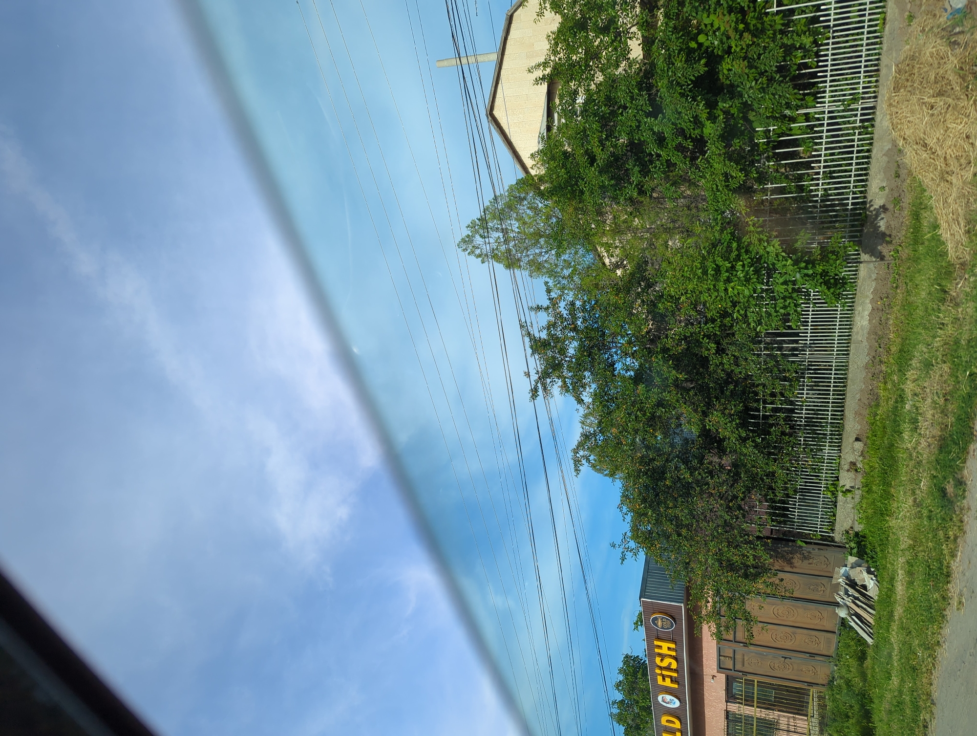 The image, taken from inside a vehicle, shows a view of Beş-Küŋgöy, Kyrgyzstan. The right side of the image contains a building with yellow "GOLD FISH" signage. There's a white fence, trees, and green grass alongside the building. Overhead are power lines against a blue sky, partly obscured by a car window.
