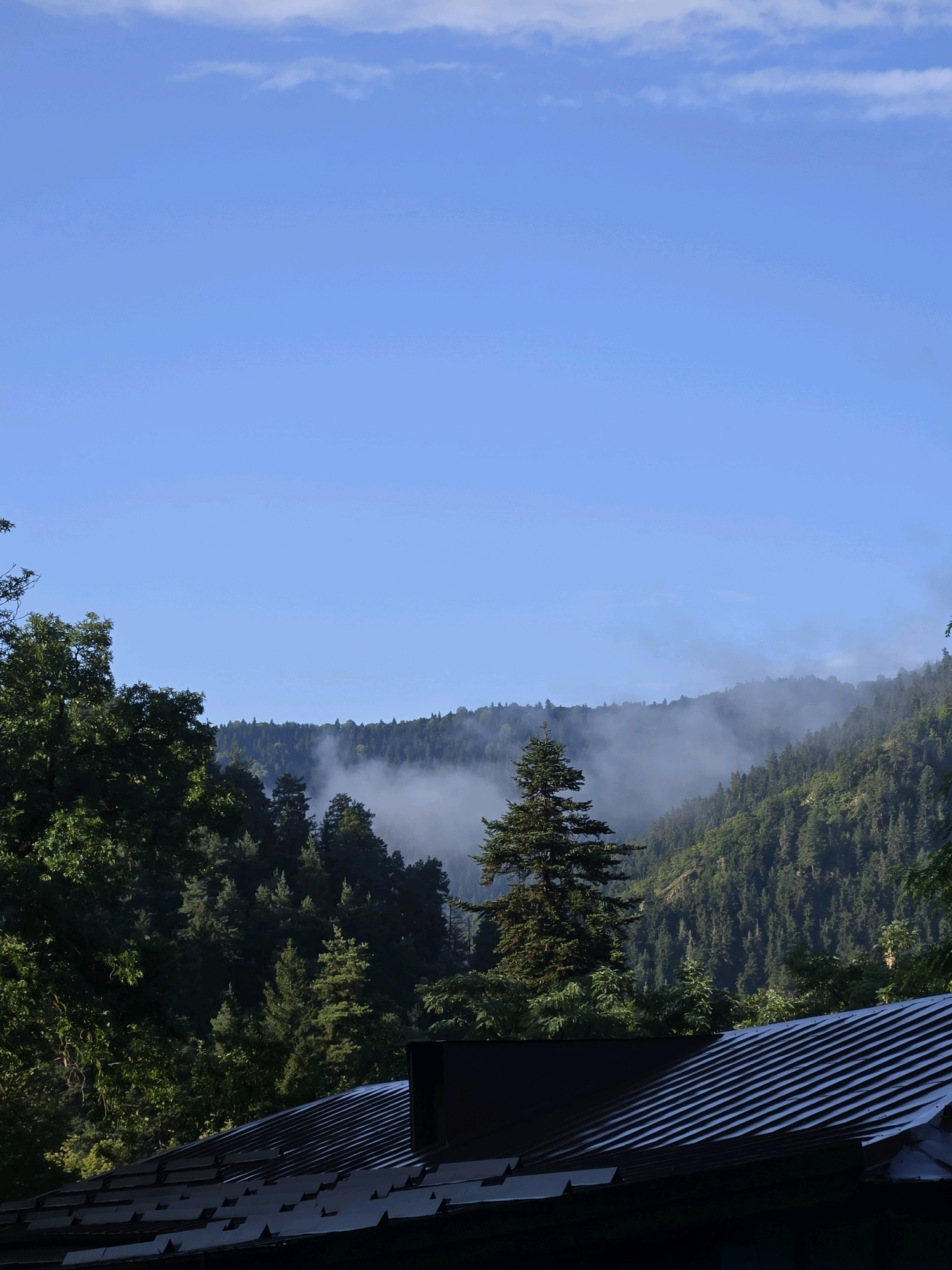 The image depicts a mountain landscape with a clear blue sky. In the foreground, a dark-colored roof with corrugated metal sheeting is visible. Beyond the roof, a dense forest of evergreen and deciduous trees covers the mountainside. Wisps of white fog are dispersed among the trees, creating a hazy effect. The trees are lush and green, suggesting a temperate climate. The overall scene is tranquil and serene, with a clear separation between the man-made structure in the foreground and the natural environment in the background. The image was taken in Abastumani, Georgia.