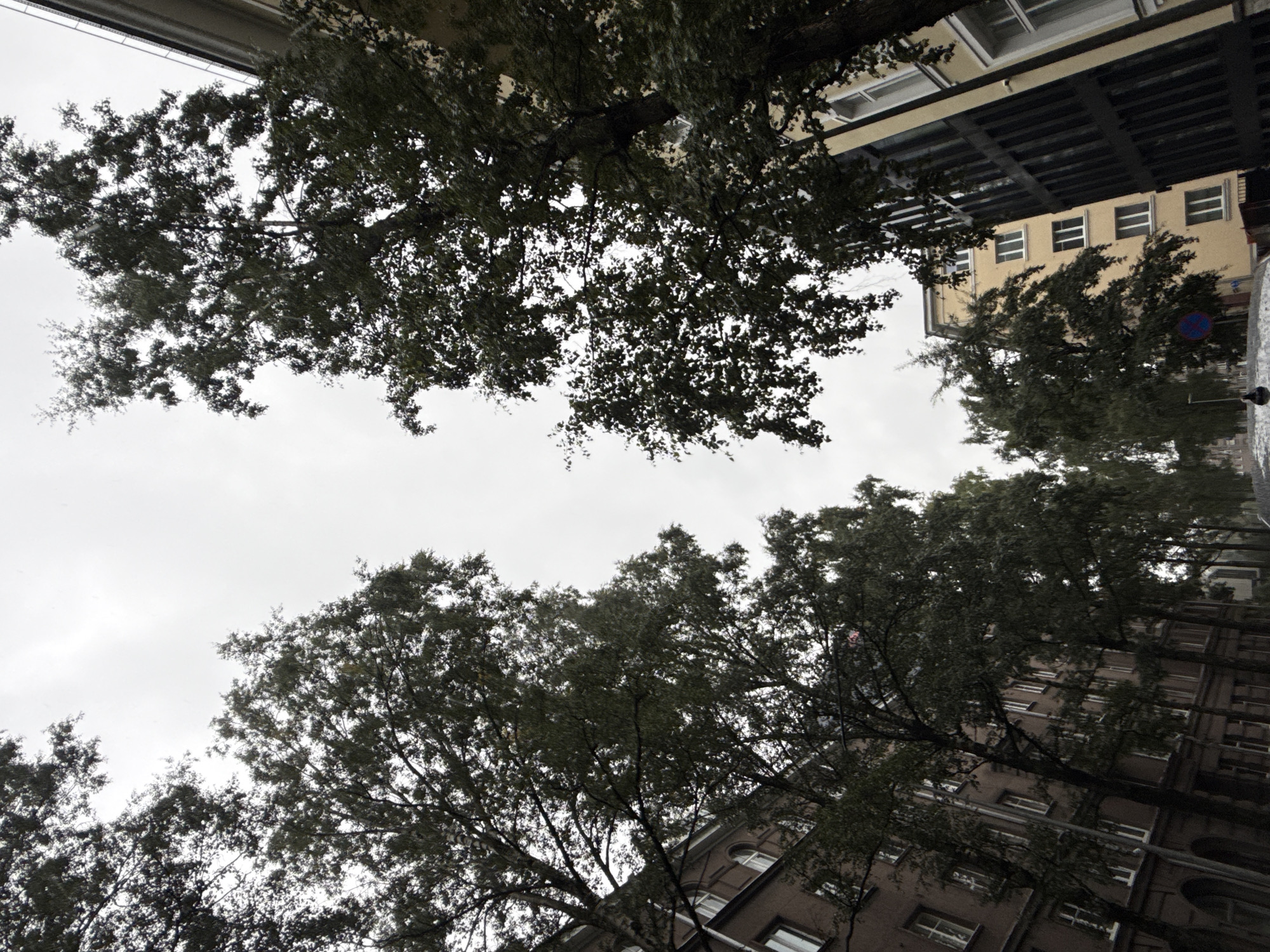 The image depicts a street scene in Tallinn, Estonia, characterized by tall trees lining the road with buildings on either side. The sky is overcast and gray, suggesting a cloudy or possibly rainy day. The architecture of the buildings appears to be a mix of older, ornate structures and more modern ones, indicated by the varied window styles and facade designs. The trees are full of dark green foliage, their branches reaching towards the sky and partially obscuring the view of the buildings and the sky. In the foreground, parts of a street and sidewalk are visible, and there are hints of a few figures walking, though they are indistinct. The overall impression is one of a typical urban streetscape on a rather somber day.