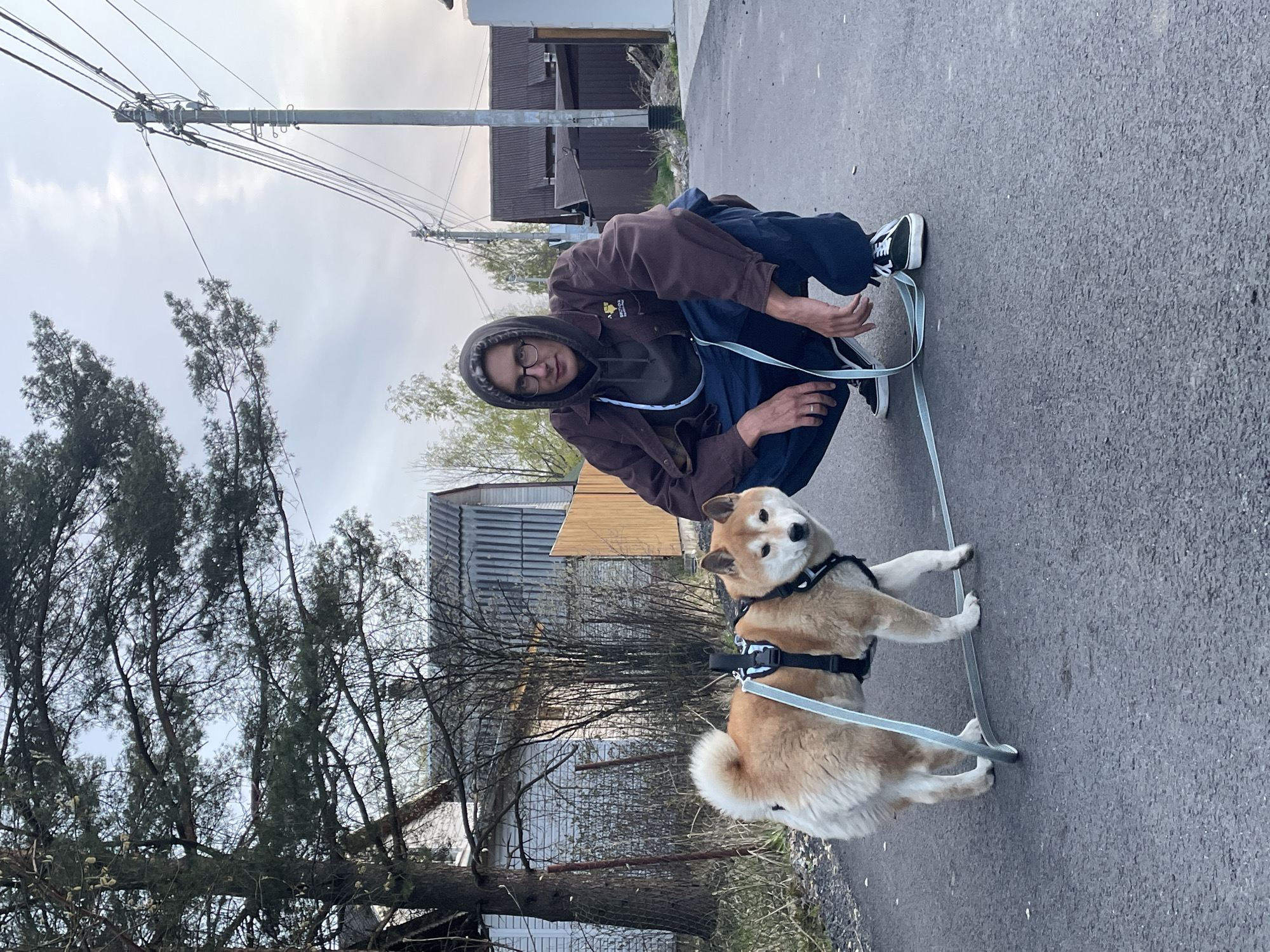A man with dark hair, wearing glasses, a brown hooded sweatshirt, and blue pants, is crouched on a gray paved road. He is holding a light blue leash attached to a Shiba Inu dog wearing a black harness. The dog is facing the camera. The background includes trees, buildings with corrugated metal roofs, and utility poles with overhead wires. The location is Sestroretsk, Russia, based on environmental details and landmarks in the background.