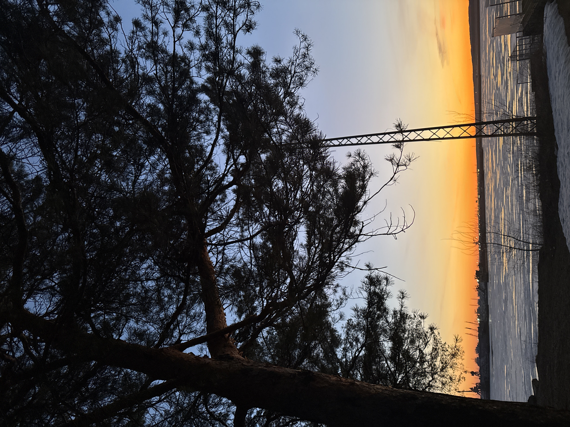 The image, oriented upright, captures a tranquil winter sunset or sunrise over a large body of water, likely a river or lake, in Chaikovsky, Russia. Dominating the left and foreground are the dark, silhouetted forms of several coniferous trees, appearing to be pines, with their intricate branches and needles sharply defined against the sky.
The sky exhibits a dramatic gradient, shifting from a clear, soft blue at the top to a vivid orange and yellow hue along the horizon on the right, typical of golden hour light. This colorful sky is reflected brightly on the surface of the expansive water body, creating shimmering streaks of light that suggest either open water reflecting the sky or a partially frozen surface with ice catching the light.
A prominent feature in the midground is a dark metal truss structure, possibly part of a bridge or a power line tower, spanning horizontally across the scene. It is partially obscured by the tree branches on the left and stands out against the glowing sky. In the far distance, a faint, dark line marks a distant shoreline or low hills. The immediate right foreground shows snow-covered ground or an embankment, indicating cold weather, with some bare branches and sparse vegetation.
No human activity or people are visible, and there is no discernable text. The scene evokes a sense of serene natural beauty during the transition of day and night in a cold climate.