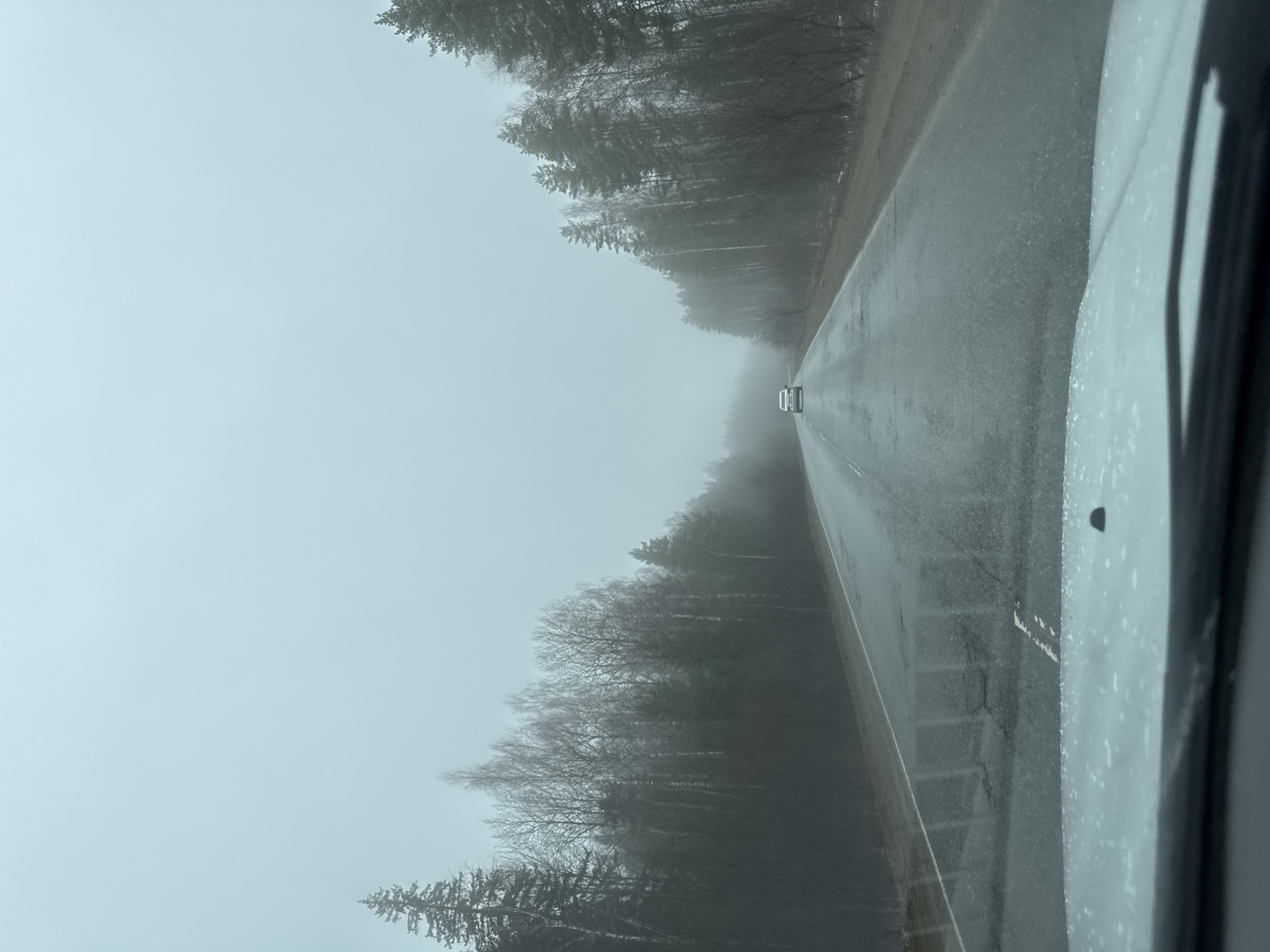 The image depicts a gray, foggy road in Novyi, Russia, flanked by dense, bare trees on both sides. A vehicle is visible in the distance on the road ahead. A portion of another vehicle's interior is visible in the foreground, suggesting the image was taken from inside a car. The road surface appears wet.