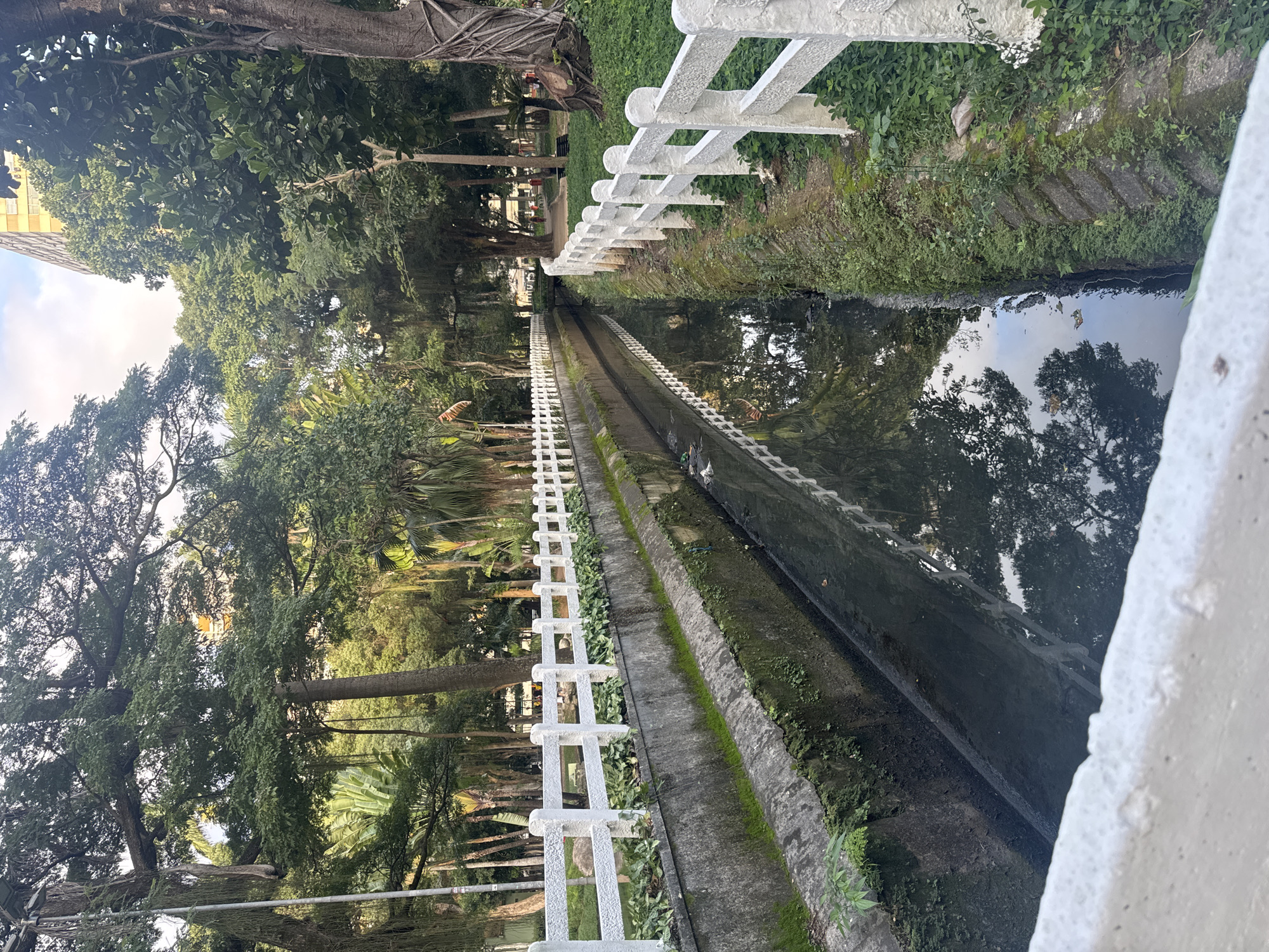 The image shows a concrete canal in a park-like setting. The canal is lined with a white fence on both sides. The water in the canal is dark and reflective, showing the surrounding trees and sky. There is some green vegetation growing along the edges of the canal and on the fence. In the background, there are tall trees, and a tall building can be seen in the distance. There are a few people walking in the background, and some trash is visible in the canal. The overall impression is one of an urban park with a water feature. This scene is consistent with the Parque da Cidade in Niterói, Brazil, known for its scenic views and green spaces.