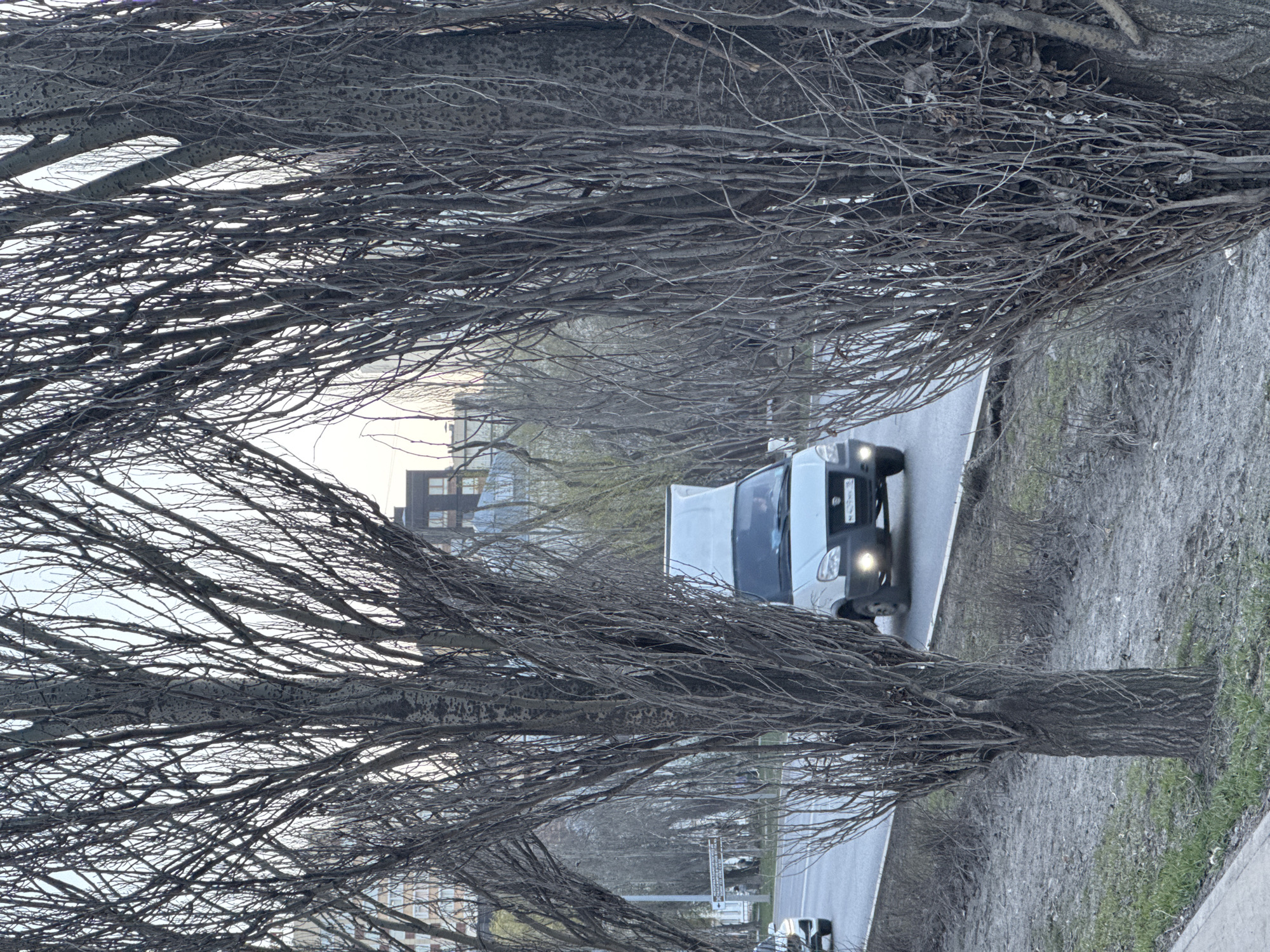 A medium shot captures a white delivery van on a road in Perm, Russia, viewed through the bare branches of winter trees. The van, illuminated by its headlights, appears to be moving toward the camera. In the background, there are buildings. The road is bordered by a sidewalk with patches of grass and fallen leaves. The branches of the trees, devoid of leaves, create a complex network framing the scene.