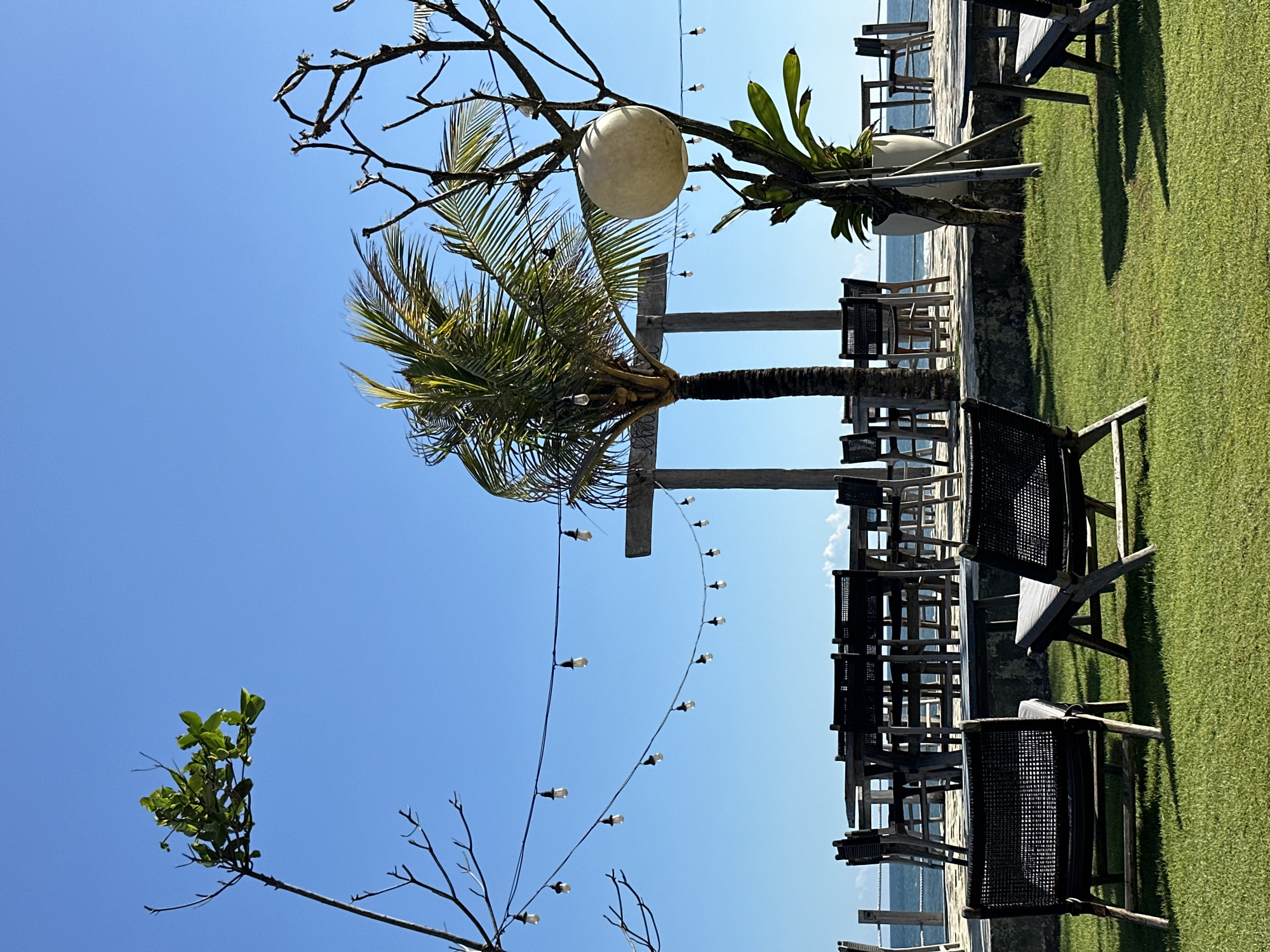 This image depicts a tranquil outdoor leisure or dining area, likely a resort or restaurant, under a bright, clear blue sky. The scene is bathed in strong daylight, casting pronounced shadows from furniture onto a lush green lawn that dominates the right side of the lower frame.
On the left, a paved or stone patio area is furnished with numerous wooden chairs featuring black woven seats and backs, some arranged as if around tables. A prominent palm tree with verdant fronds stands in the center-left. Above it, bare tree branches extend across the sky, from which a large, light-colored spherical object, possibly a decorative lamp, hangs. String lights with multiple bulbs are elegantly draped among these branches and extend across the scene, hinting at evening ambiance.
Behind the palm tree, a distinctive wooden X-shaped structure is visible, and a potted plant rests on a wooden post. In the far background, a calm body of blue water, likely an ocean or large lake, stretches to the horizon, adding to the serene atmosphere. No people are visible, lending a sense of quiet and peacefulness to the well-maintained setting. The bright light and clear sky suggest a mid-day or early afternoon time. There is no discernible text in the image.
