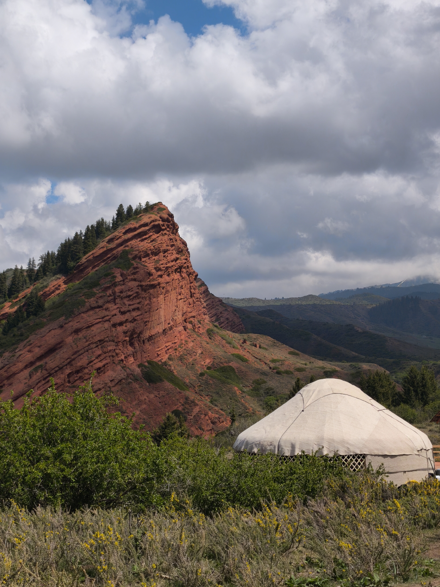 This vertical shot captures a dramatic natural landscape in Jeti-Ögüz, Kyrgyzstan, featuring a striking red rock formation and a traditional yurt. The central subject is an imposing, craggy mountain on the left, composed of distinct horizontal layers of rich red rock. Its upper slopes and jagged crest are adorned with dense evergreen trees, likely pines or firs, providing a contrasting dark green against the reddish hue.
In the foreground on the right, a cream or white canvas yurt is partially visible, nestled amidst lush green bushes and wild shrubs. The yurt's characteristic domed shape and a section of its intricate wooden lattice frame (kerege) can be discerned through the surrounding foliage. The immediate foreground is dominated by these green bushes, some displaying small clusters of yellow flowers, adding a touch of color to the lower portion of the image.
Beyond the prominent red rock, the midground and background reveal rolling hills and distant mountains, covered in a mix of green vegetation and some barren patches. The sky overhead is largely covered by an expansive array of grey and white clouds, suggesting an overcast or changeable weather condition, though patches of bright blue sky are visible in the upper left. The diffused daylight indicates it is daytime, possibly late morning or early afternoon. No people or visible text are present. The scene evokes a sense of rugged natural beauty and traditional nomadic culture in a remote mountainous setting.