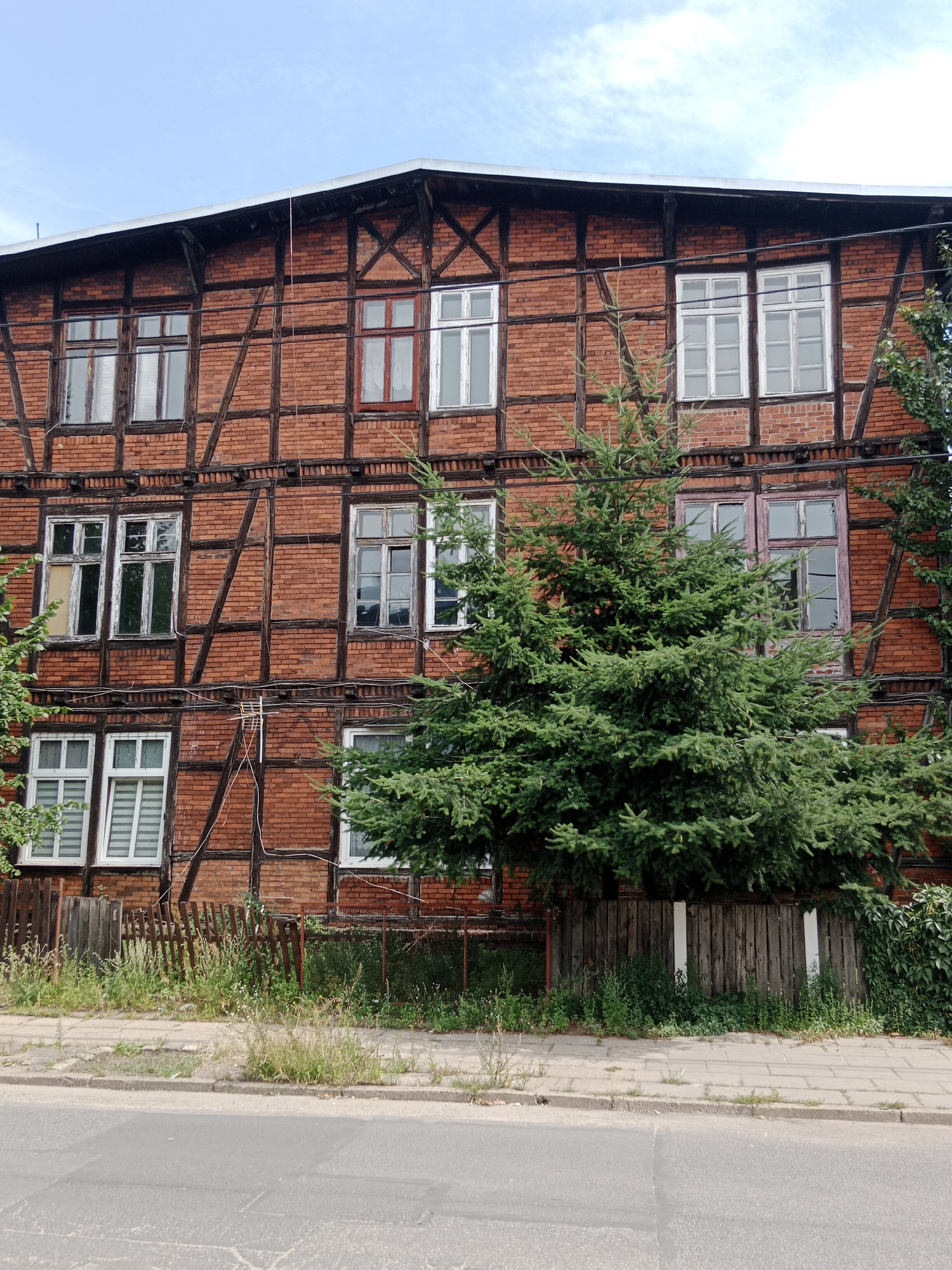 The image depicts a section of a two-story building with traditional half-timbered architecture, characterized by exposed dark wooden beams against a brick facade. The building features numerous windows, most of which are multi-paned and some with white frames, while others appear to have darker or colored frames. A large evergreen tree is positioned in front of the building, partially obscuring the lower windows and fence. To the left and right of the tree, other foliage is visible. A weathered wooden fence runs along the front of the property, separating it from a paved sidewalk and an asphalt road. The sky above is blue with scattered clouds. The scene is typical of older residential areas in European cities. Based on the architectural style and general appearance, this building could be located in Bydgoszcz, Poland, specifically in a historic district.