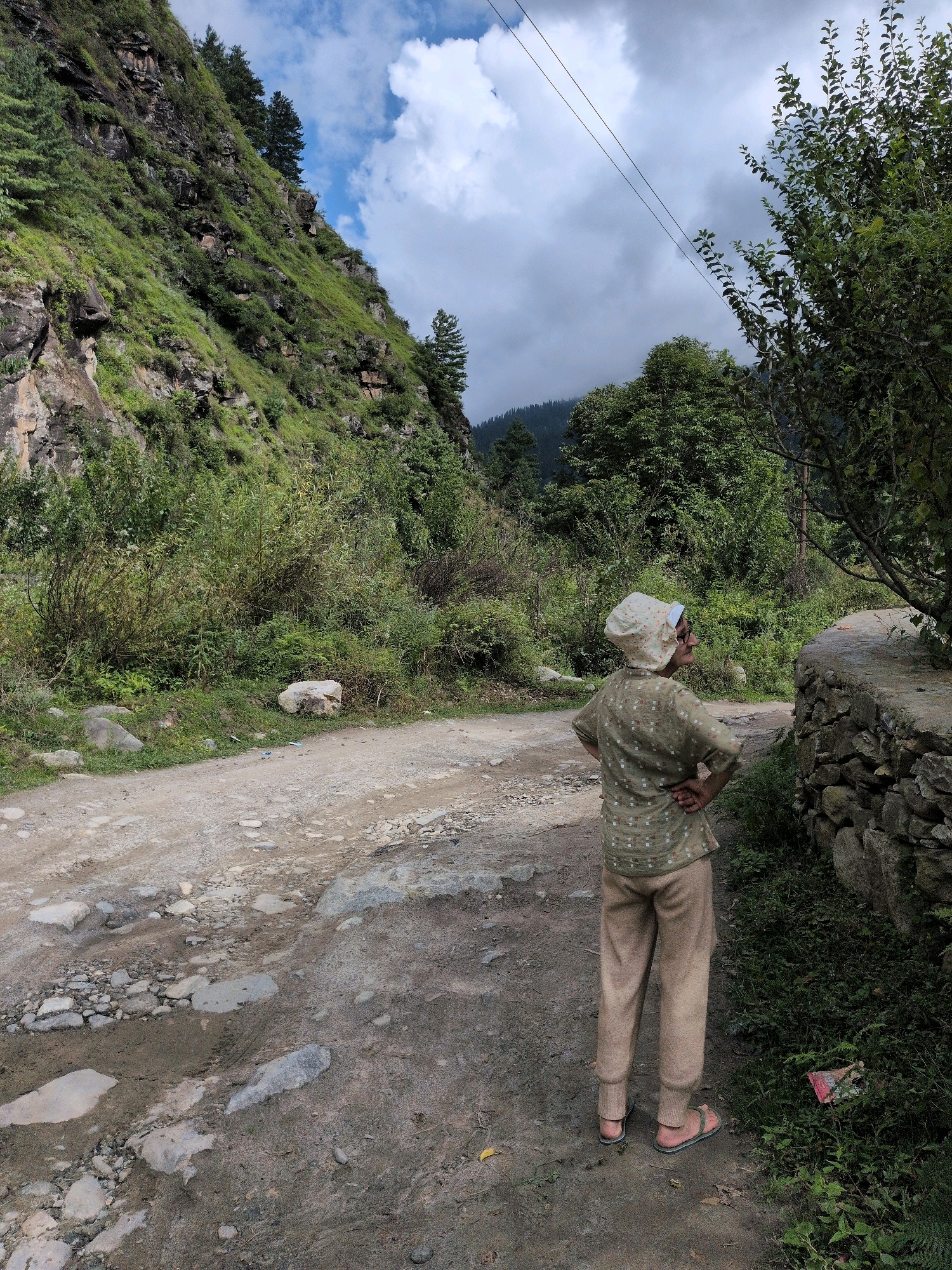 A person stands on a dirt road in Dashal, India. The person is wearing a patterned hat, a green shirt with a white dot pattern, and tan pants. The person is facing away from the camera, looking towards the left. The person has their hands on their hips. To the right of the person is a stone wall and dense green foliage. A dirt road extends forward and to the left of the person, with rocks and puddles visible. In the background, a steep, green, rocky hillside rises sharply, with trees dotting its slopes and a cloudy sky overhead. Power lines stretch across the sky.
