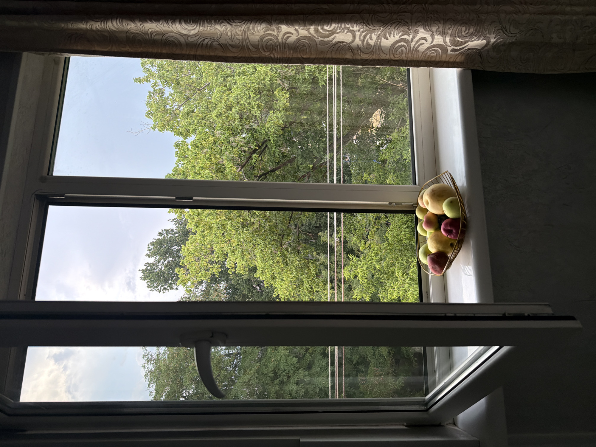 An open window in an apartment building in Chirchik, Uzbekistan, reveals a lush green canopy of trees against a cloudy sky. On the white windowsill, a decorative golden bowl holds a selection of fruits, including red and yellow apples, and green pears. To the right, a patterned curtain drapes down, partially obscuring the view. The interior of the room, visible on the left, is dimly lit and appears to be a living space.