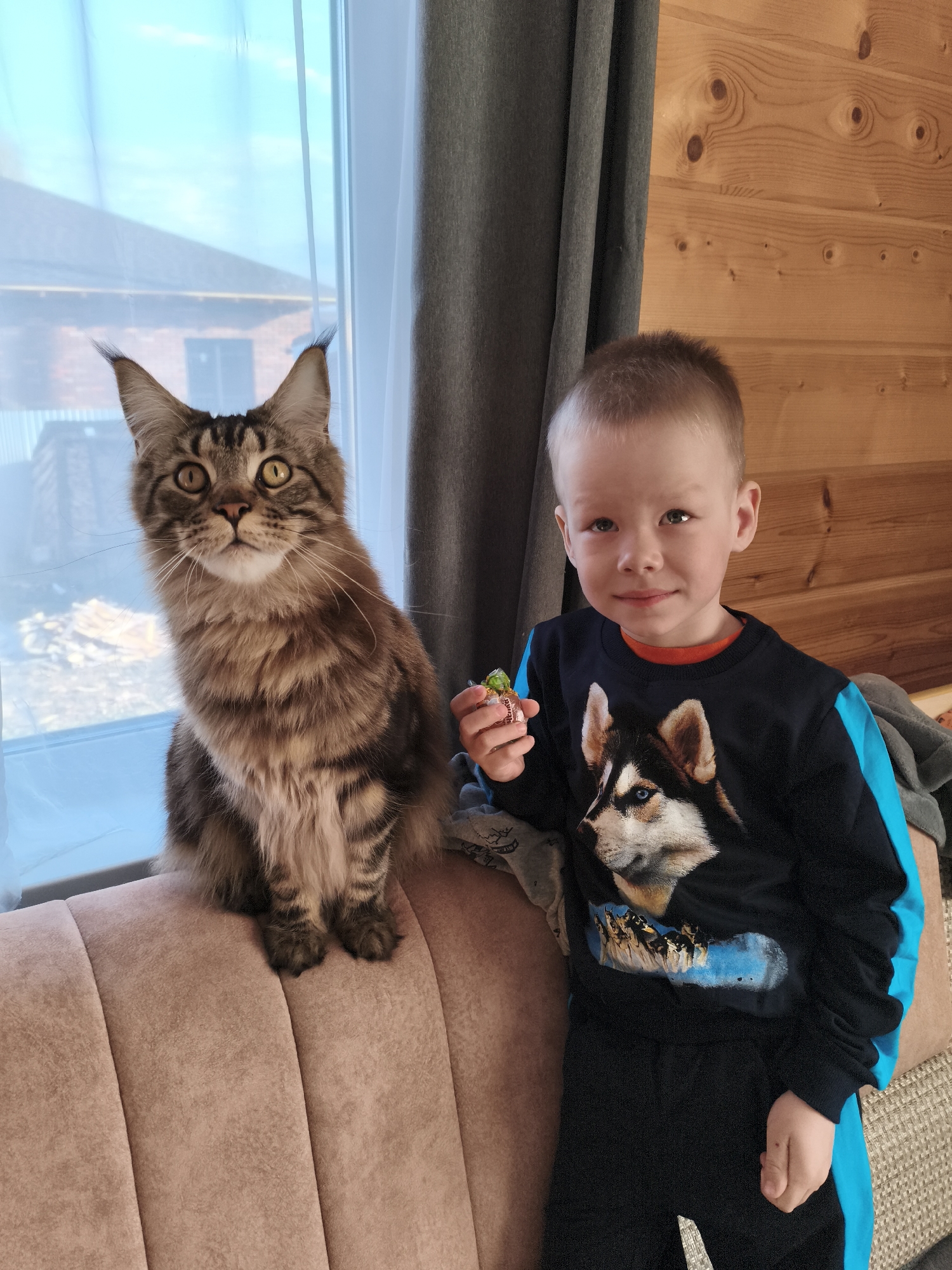 A young boy is standing next to a large, brown tabby Maine Coon cat. The boy is wearing a black long-sleeved shirt with a husky dog printed on the front and black pants with blue stripes on the sides. He is holding a small, wrapped candy in his right hand. The cat is sitting on a pink couch, looking up and to the left. Behind the cat is a window with a view of a house exterior. To the right of the boy is a wooden wall with brown curtains. The location is possibly Русский Вожой, Russia.
