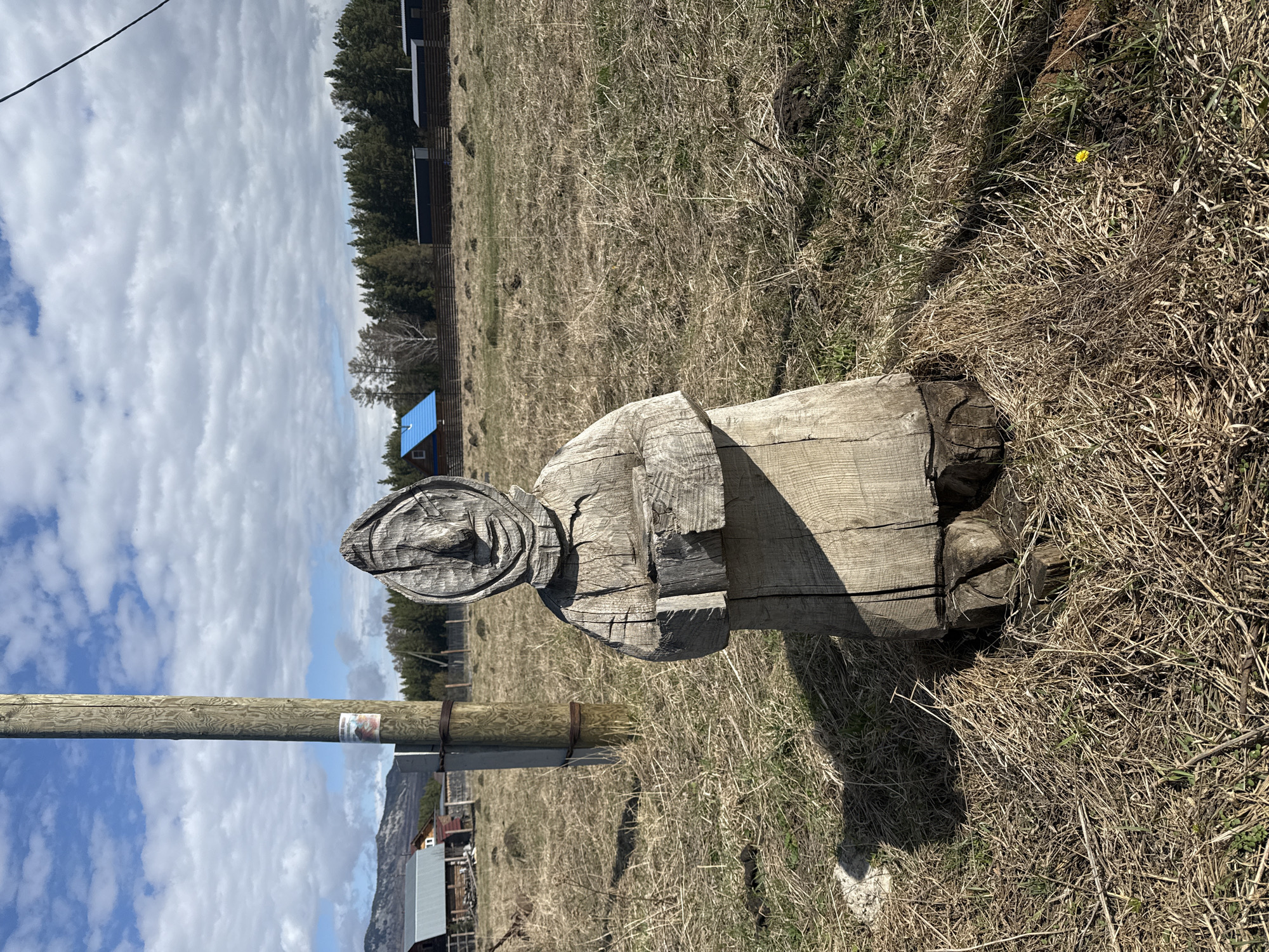 The image displays an outdoor rural landscape under a partially cloudy sky. In the foreground, on the right side, stands a weathered, carved wooden statue, possibly depicting a stylized human figure with an elaborate head covering or hat. Its surface shows distinct wood grain and cracks, indicative of age and exposure to elements. On the left side of the frame, a wooden utility pole rises vertically, with a small, unreadable sign or image attached to it with a strap.
The ground around these objects is covered in dry, sparse grass, with some patches of greener growth and visible soil. A single small yellow flower is visible among the grass near the base of the wooden statue in one of the close-up crops. Shadows cast by the statue and the pole suggest it is daytime, likely late morning or early afternoon, with the sun relatively high.
In the midground, a line of coniferous trees (pine trees) forms a dense barrier. Behind the trees, several small buildings are visible, some with dark walls and one with a distinctive blue sloped roof. Further in the distance, a range of mountains can be seen under the vast sky, which features both bright blue patches and streaks of white, textured clouds. The overall scene conveys a sense of a remote, natural setting. No people or specific activities are present. The location, Kordonnyi, Russia, aligns with the visual cues of a rugged, natural environment.