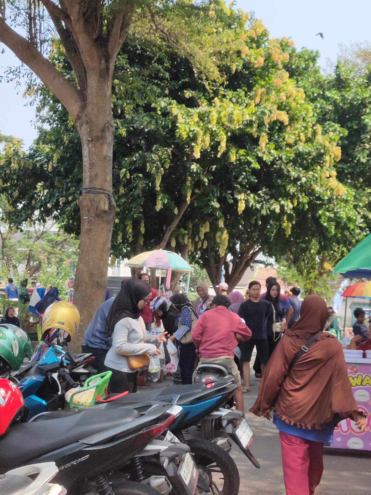 The image depicts a bustling outdoor scene in Ngasem, Indonesia, likely a market or public gathering space. In the foreground, several motorcycles are parked, some with helmets on them, including a yellow helmet with "DOT" marking and a green child seat attached to one. People are walking and interacting around the motorcycles and stalls.
Dominating the background are large trees with lush green foliage and hanging yellow flowers. Several people are visible in the midground, some wearing headscarves, suggesting it is a predominantly Muslim community. One woman in a grey top and black headscarf is interacting with someone, holding a plastic bag. Another person in a red shirt is walking away from the camera, and a person in a brown headscarf and pink pants is walking towards the right.
Several colorful stalls are present, including one with a striped umbrella and another with a green canopy. The overall atmosphere appears lively and suggests a typical day in an Indonesian urban or semi-urban environment. The sky is clear and blue.