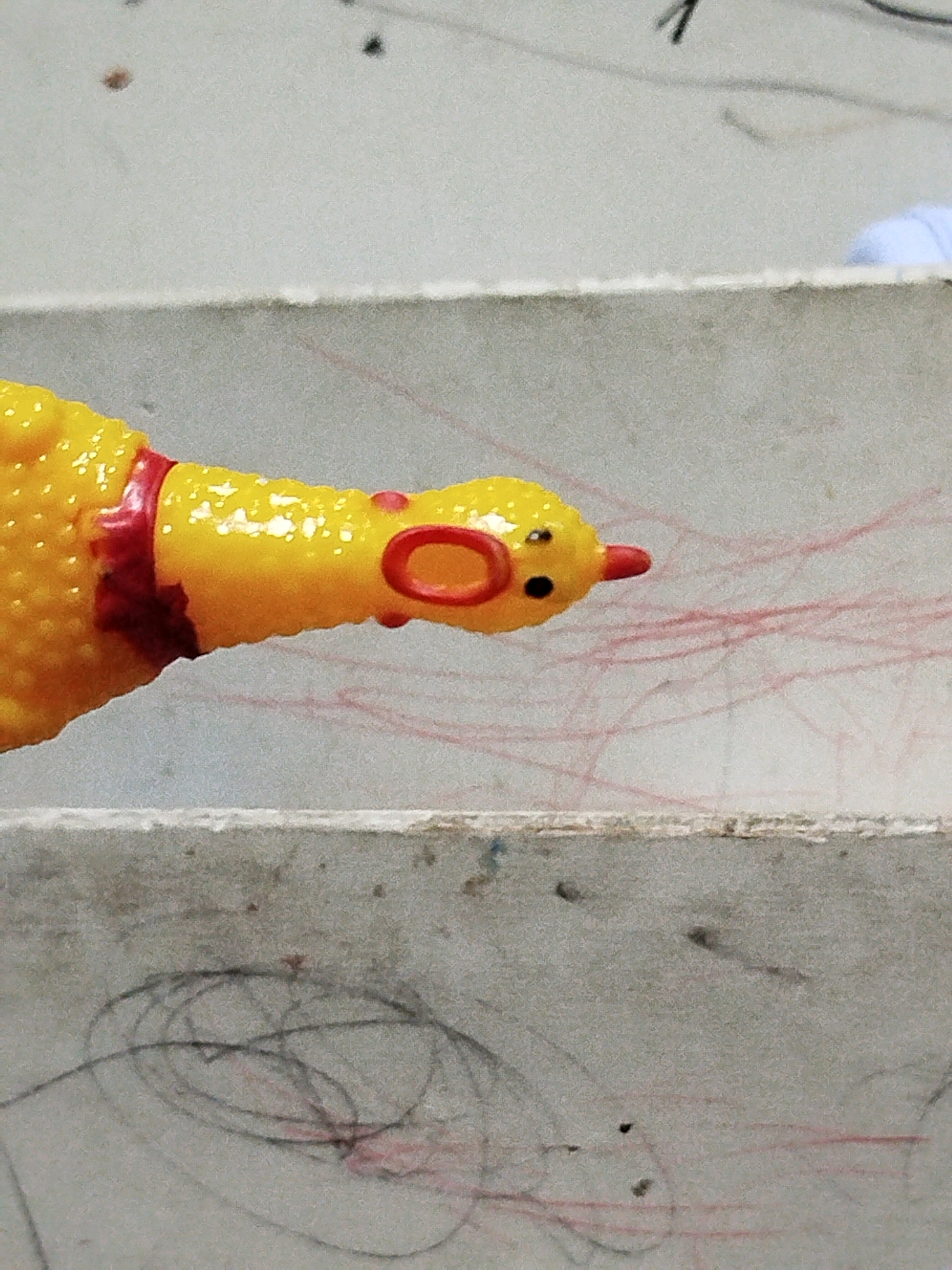 The image shows a close-up of a yellow rubber chicken toy with a red ring around its neck and red markings on its head. The toy is positioned horizontally, with its head facing towards the right. Its beak is red, and it has two black dots for eyes. The toy appears to be resting on a textured surface, possibly made of concrete or stone, which is marked with red and black scribbles. In the background, a lighter-colored surface with some dark spots is visible, and to the far right, a blur of light blue and white suggests the presence of another object or material. The overall lighting suggests an indoor or shaded outdoor environment. There is no indication of the location being in Mojoagung, Indonesia.