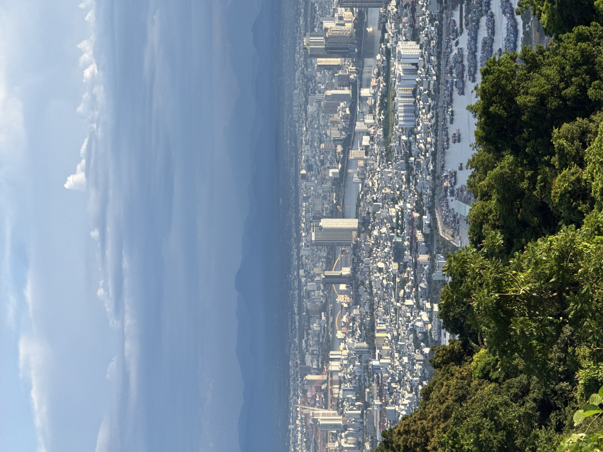 This aerial photograph captures a panoramic view of Da Nang, Vietnam, from a high vantage point overlooking the city and its harbor. The foreground is dominated by lush green foliage, likely from a hillside. Beyond the trees, the sprawling cityscape unfolds, characterized by a dense collection of buildings, ranging from low-rise structures to modern skyscrapers. A prominent river flows through the city, crossed by several bridges, one of which is a distinctive yellow arch bridge. In the mid-ground, a large harbor teems with numerous boats of varying sizes, suggesting a bustling maritime activity. The background features a range of distant mountains, their forms softened by the haze. The sky above is a mix of blue with scattered clouds, some of which are dark and dramatic, hinting at recent or impending weather. The overall scene is one of urban expansion and natural beauty, with the city nestled between the river, the sea (implied by the harbor), and the mountains.