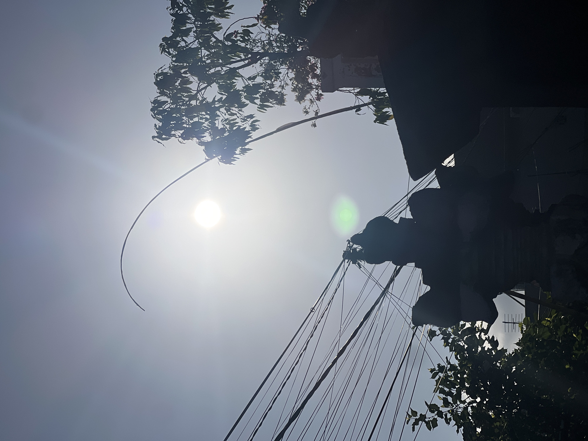 The image, taken in Denpasar, Indonesia, is a silhouette against a bright, hazy sky. A curved, thin branch or wire stretches from the upper left towards the sun, which is partially obscured by atmospheric haze, causing lens flare. To the right, the upper branches of a leafy tree are visible, also silhouetted. A dense network of black electrical wires crisscrosses the left and central portions of the frame, originating from a dark, silhouetted structure that appears to be a traditional Balinese roof or architectural element. At the base of this structure, another dark, silhouetted form is visible, potentially another part of the architecture or a statue. In the lower left, the dark silhouette of more foliage is present. The overall impression is of an urban or semi-urban environment under a bright sun, with a focus on overhead infrastructure and architectural silhouettes.