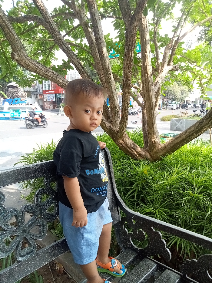 Memory