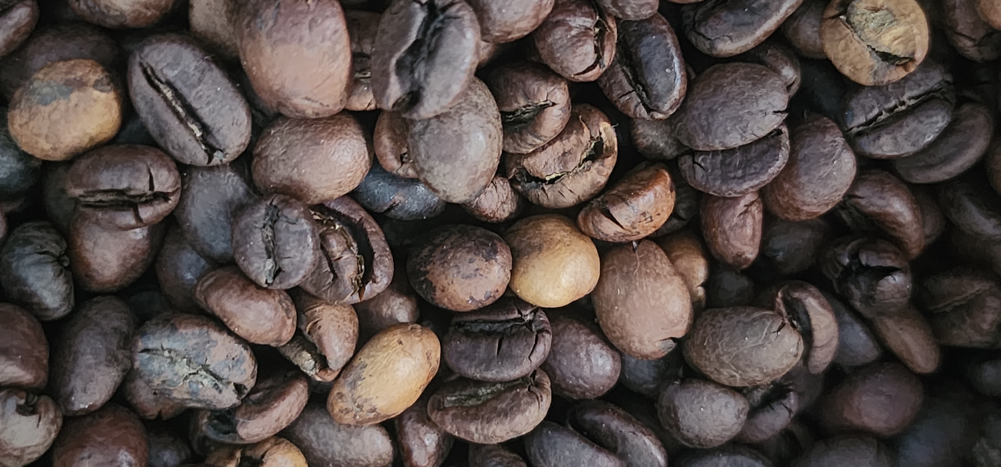 This media file is a close-up, top-down shot of roasted coffee beans. The subjects are numerous coffee beans, varying in size, shape, and roast level, creating a textured and rich visual. Some beans appear darker, indicating a deeper roast, while others are lighter brown, some with hints of golden-yellow. The beans are densely packed, filling the entire frame and overlapping each other, suggesting a container or a bulk pile.
There is no activity or event taking place; the image is a still life of the coffee beans. The notable details include the individual characteristics of the beans: their characteristic central crease, the slight sheen from roasting, and the varied textures ranging from smooth to slightly wrinkled. The lighting appears to be diffused, highlighting the contours of the beans without harsh shadows, which could be artificial lighting or an overcast day if this were an outdoor scene.
There are no visible people, text, or specific location cues beyond the provided context of Donetsk, Ukraine. The overall impression is one of abundance and the raw material of a beloved beverage.