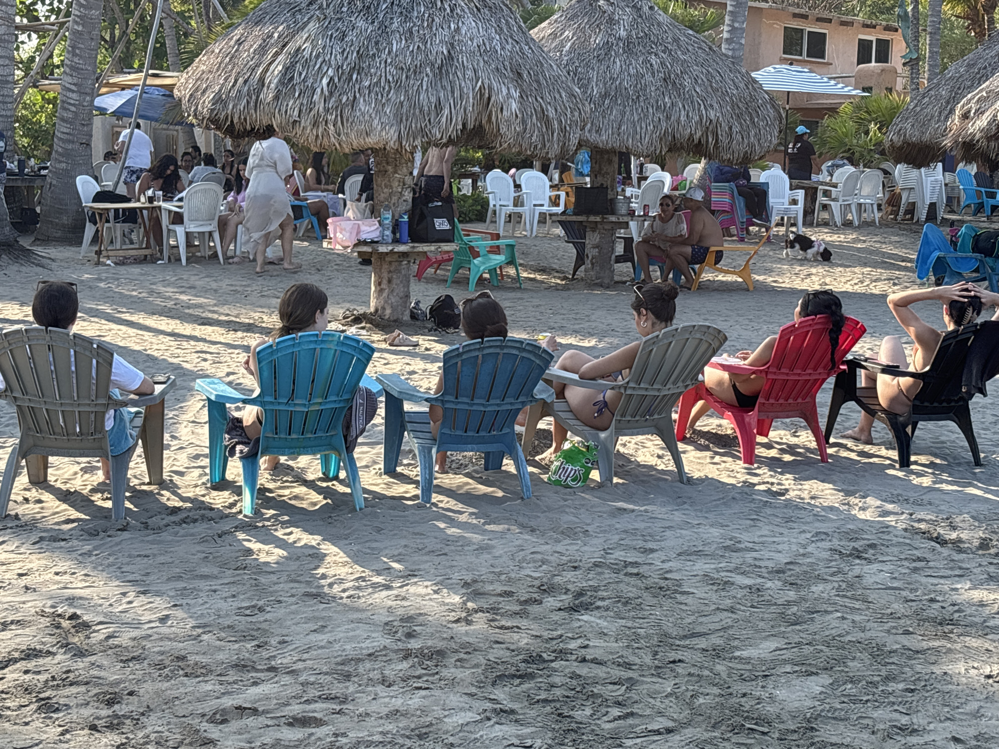 The image depicts a beach scene in an unknown city. In the foreground, five people are sitting in a row of colored Adirondack chairs facing away from the camera. From left to right, the chairs are gray, blue, blue, gray, red, and black. Most of the people are fair-skinned and have dark hair. In the background, there are several thatched-roof umbrellas shading tables and chairs occupied by other people. A few palm trees are scattered throughout the scene. A dog wanders near one of the tables. A two-story building with a striped umbrella can be seen behind the beachgoers. The ground is sandy, and the scene appears to be well-lit, suggesting a sunny day.