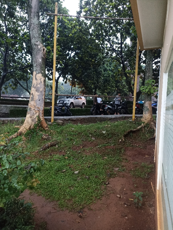 The scene is a wide shot looking out from the corner of a building. The building is on the right side of the image and is made of white brick with a white metal frame. There is a large tree trunk in the foreground, and the area is covered in green grass and brown dirt. There is a white car in the distance and three motorbikes in the center of the frame. Two men are standing next to the motorbikes. This scene is in Jatinangor, Indonesia, at the coordinates -6.931 latitude and 107.776 longitude.