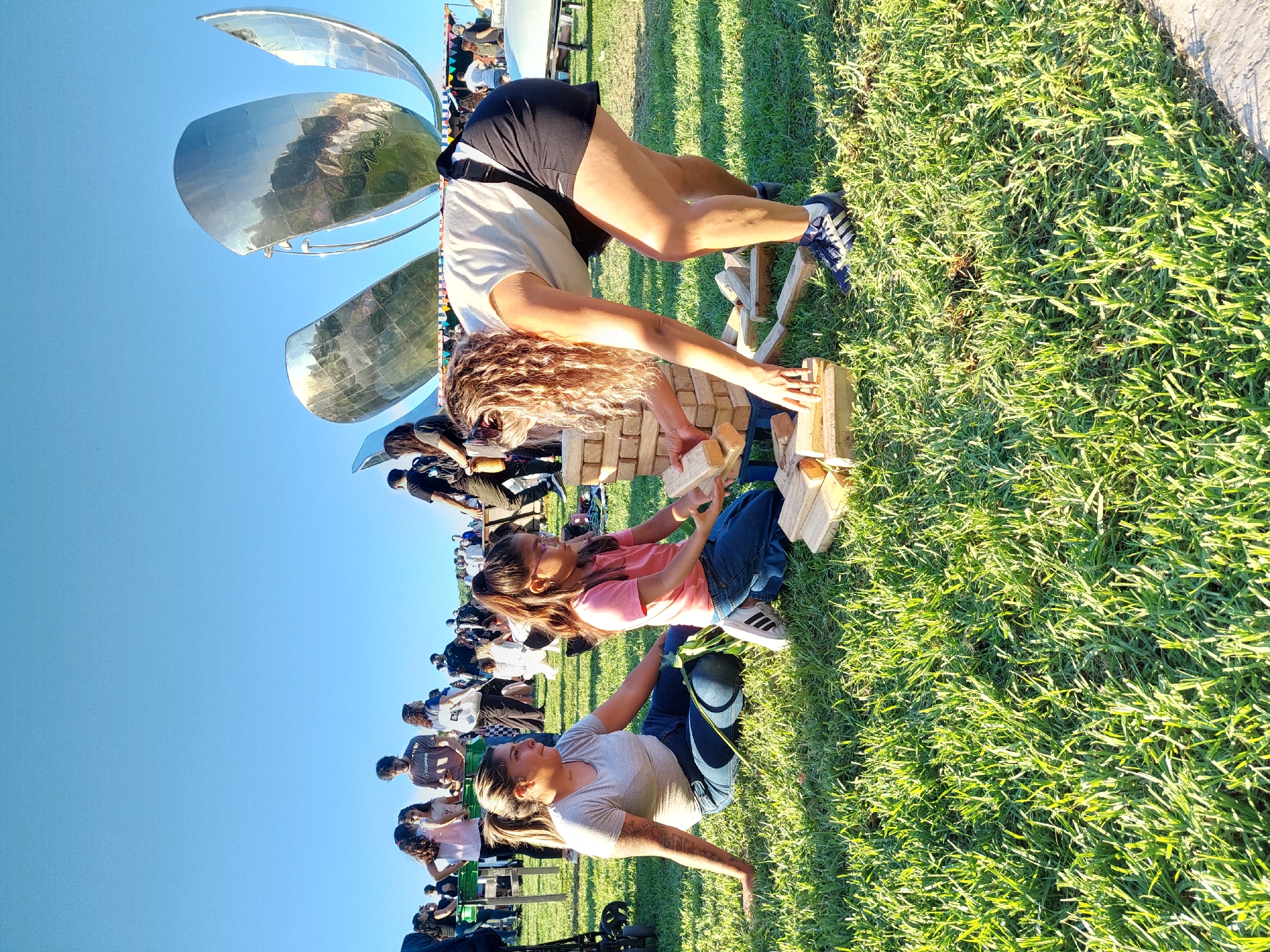 A medium outdoor shot shows a group of people in a field of green grass. Three are playing a game of giant Jenga, and others are observing in the background. The sky is clear and blue. There is a large silver metal sculpture of a flower behind them, indicating this is the Floralis Generica in Buenos Aires, Argentina.