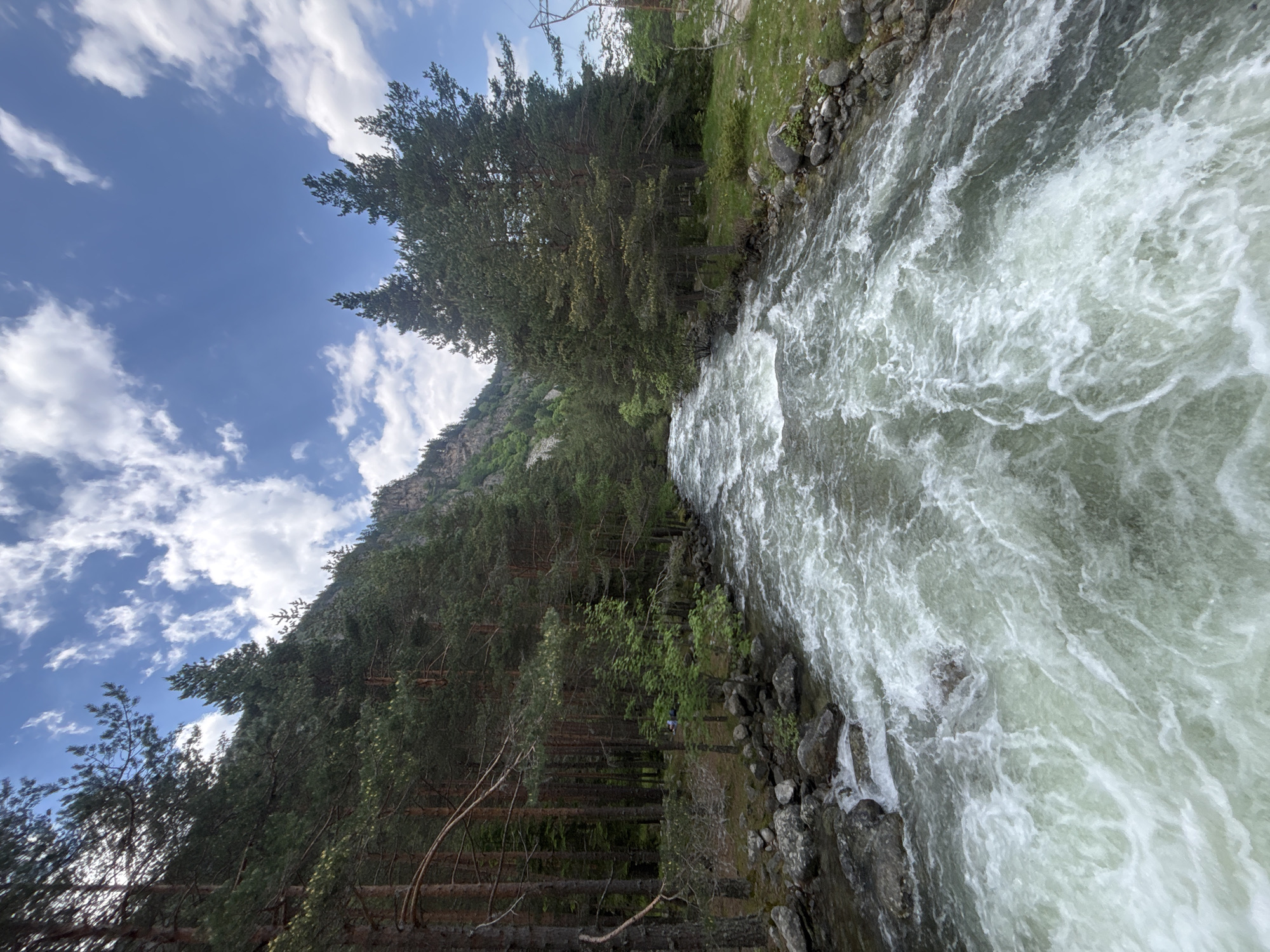 The image displays a wide-angle, slightly elevated view of a turbulent river traversing a forested mountain valley near Beli Iskar, Bulgaria. The river dominates the central and lower sections of the frame, characterized by a rapid flow of whitewater and foamy, greenish-grey currents, indicative of numerous rapids and submerged rocks.

On the viewer's left bank, a dense coniferous forest, primarily composed of tall pine trees, ascends a steep mountainside directly from the rocky river's edge. The undergrowth includes smaller deciduous saplings. Within a small clearing in the mid-ground of this bank, a figure (or two individuals) in blue clothing is faintly discernible, appearing to be seated or reclining on the ground amidst the trees.

The right bank also features a coniferous forest, with the immediate shoreline being rocky before transitioning into a grassy area dotted with smaller trees and shrubs. A power line pylon structure is partially visible against the sky on the far right side of this bank.

Steep, tree-covered mountainsides flank both sides of the river, forming a narrow valley. The upper portion of the image reveals a bright blue sky with scattered white cumulus clouds, indicating daylight and clear weather conditions. The entire scene is uniformly illuminated by natural sunlight.