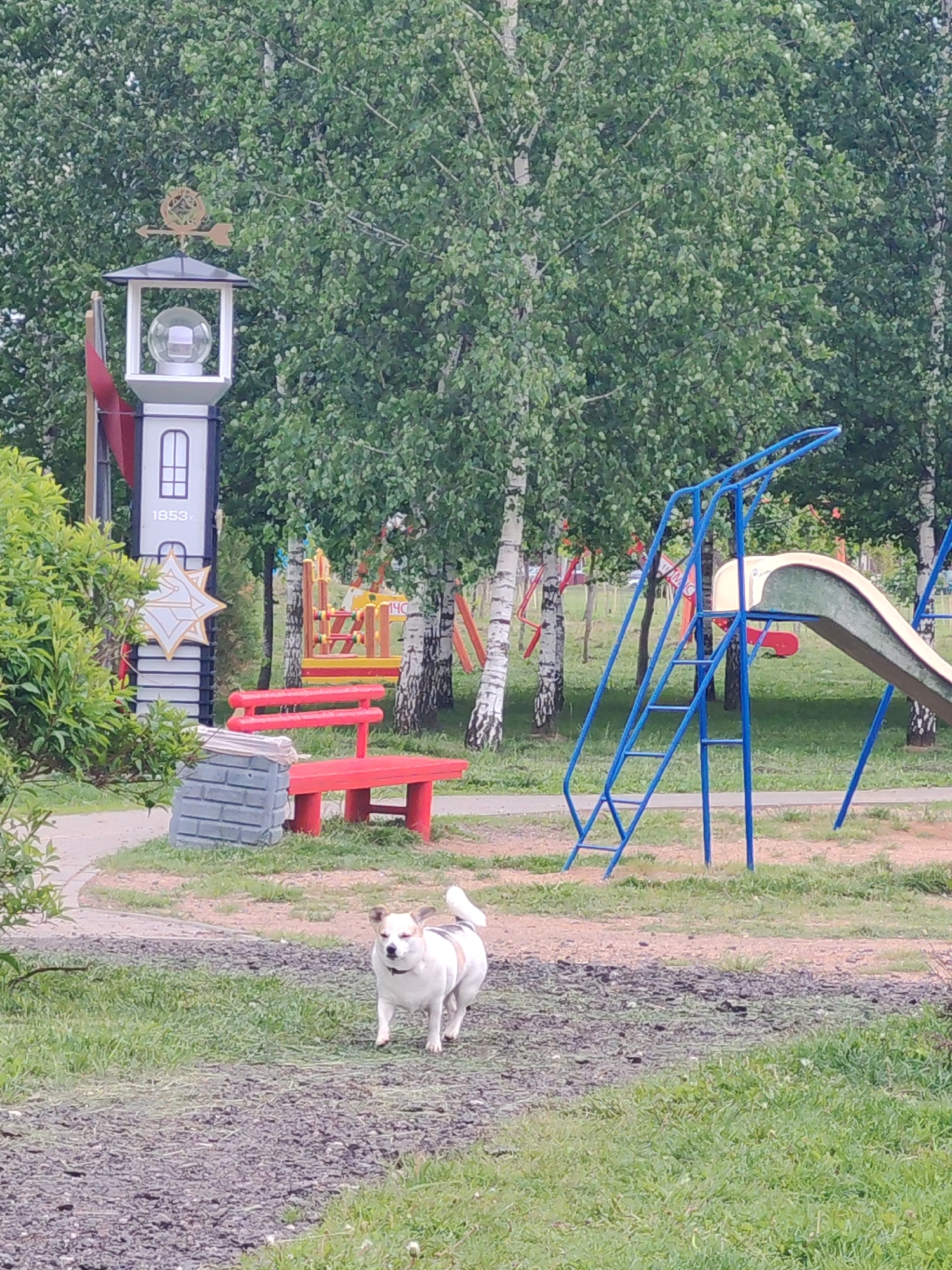 A medium shot captures a white and brown dog walking in a grassy area with playground equipment in the background. The dog is facing the camera, and its tail is slightly curled. The foreground shows a mix of green grass and patches of dirt. Behind the dog, a red bench sits near a concrete structure resembling a small wall. A blue metal slide and climbing frame are visible on the right. Further back, birch trees and various playground structures dot the landscape. On the left, a decorative lighthouse-like structure with the year "1853" printed on it stands near some bushes. The location appears to be a park or playground in an urban area of Unknown, Unknown.
