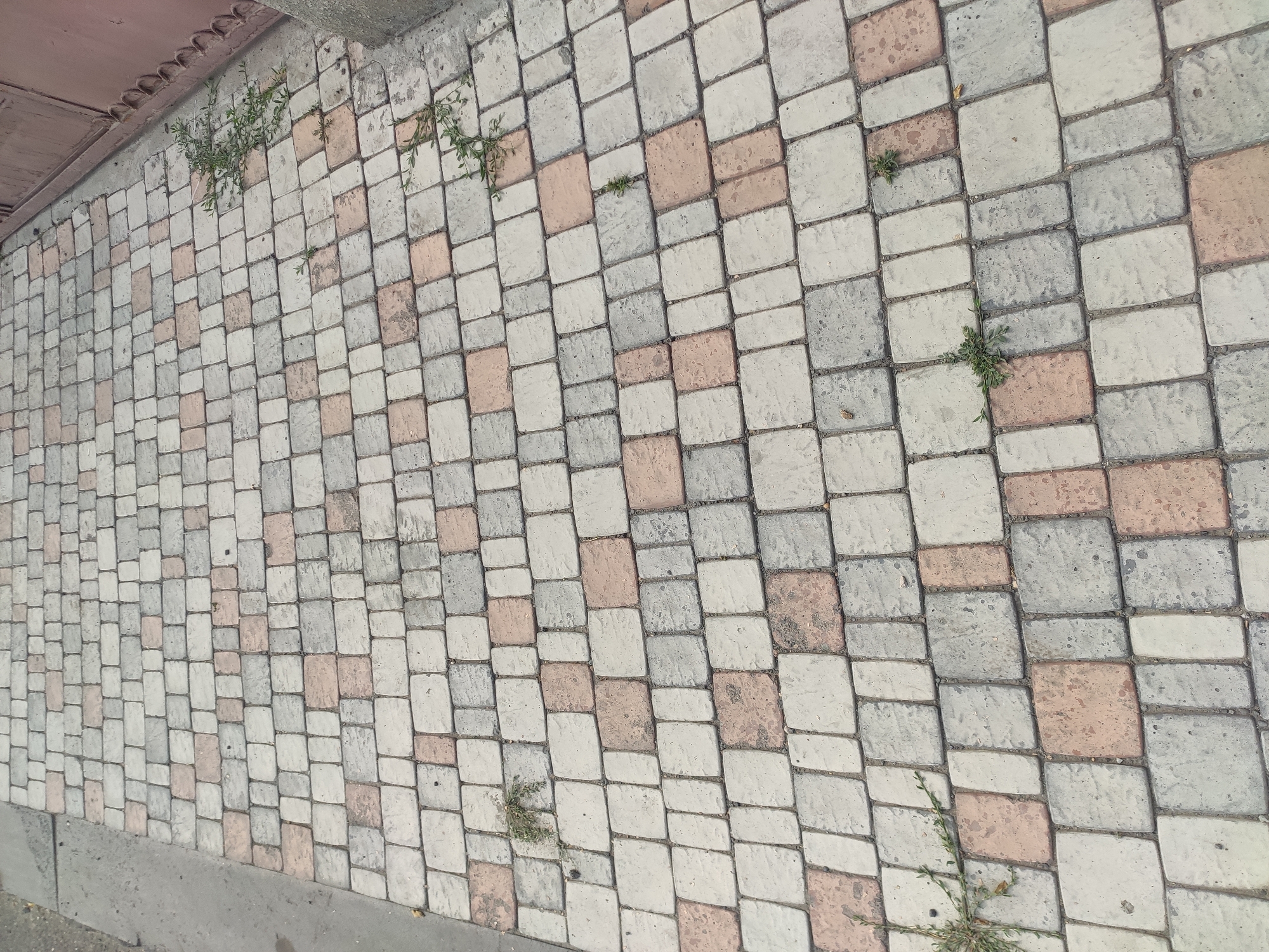 The image shows a paved walkway made of rectangular stone pavers in varying shades of gray, beige, and pink. The walkway is wet in some areas, suggesting recent rain. Small green weeds are growing through the cracks between some of the pavers, particularly on the right side of the image. In the background on the right, a portion of a dark pink gate and a concrete pillar are visible. The walkway appears to be located outdoors, possibly in a residential area or a park. Based on the style of the paving and the presence of vegetation, this scene could be found in a number of locations, including Yerevan, Armenia, where similar paving techniques are common. There are no people or animals visible in the image. The lighting suggests it is daytime.